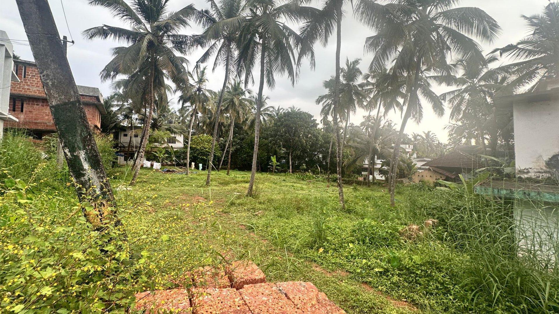 Plot At Adikadalayi — photo 9