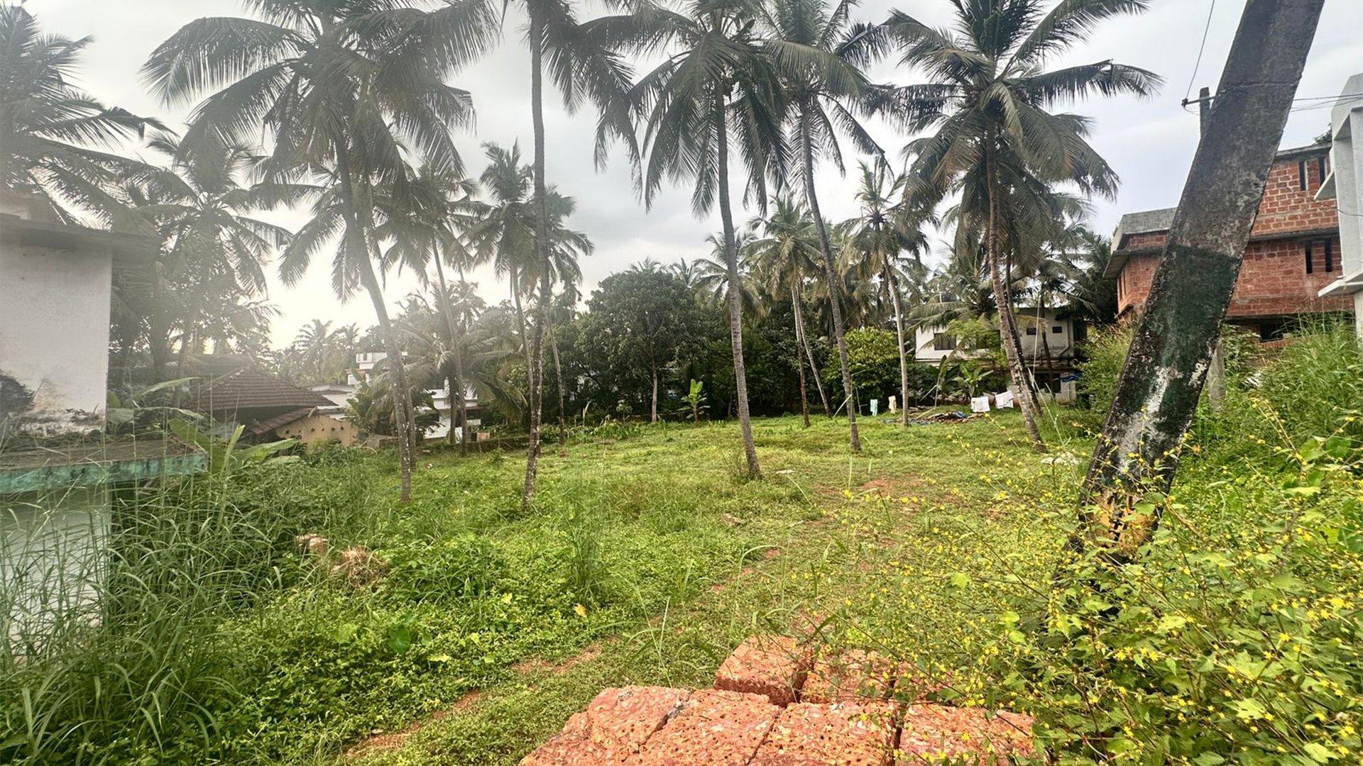 Plot At Adikadalayi — photo 8