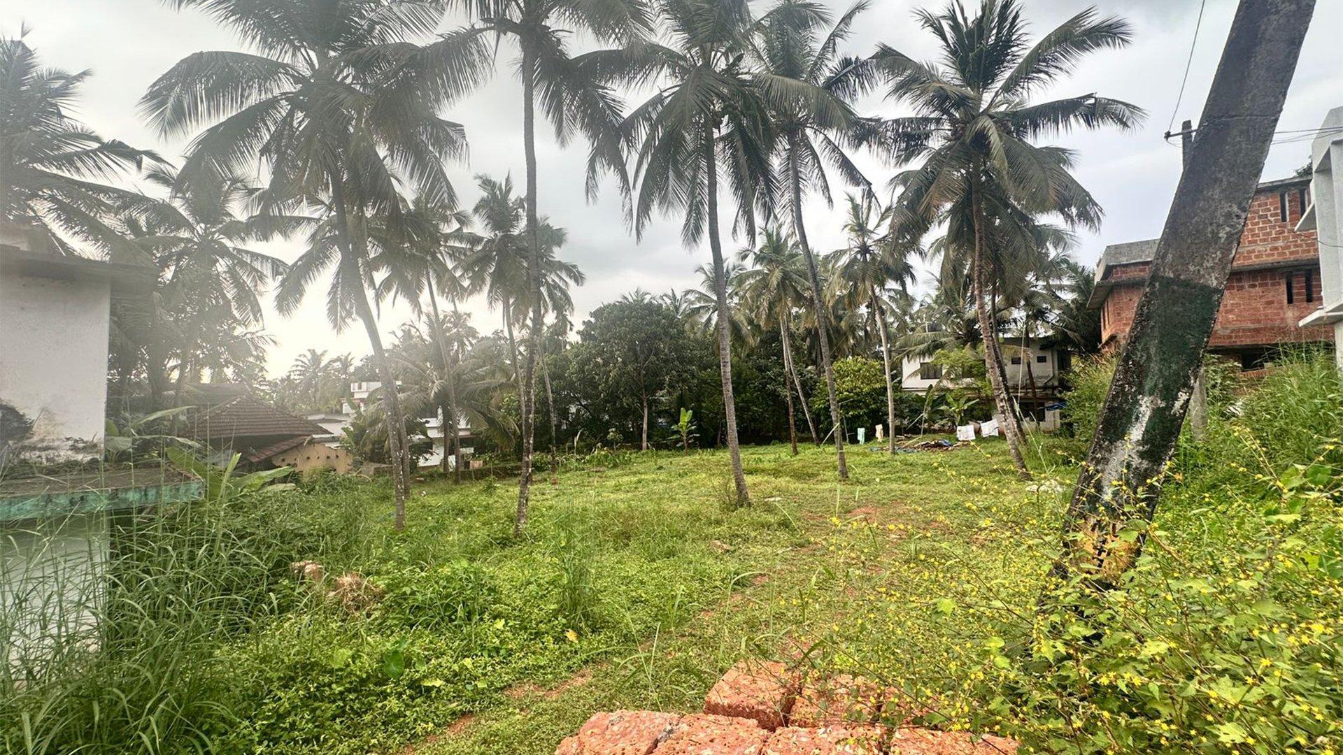 Plot At Adikadalayi — photo 10