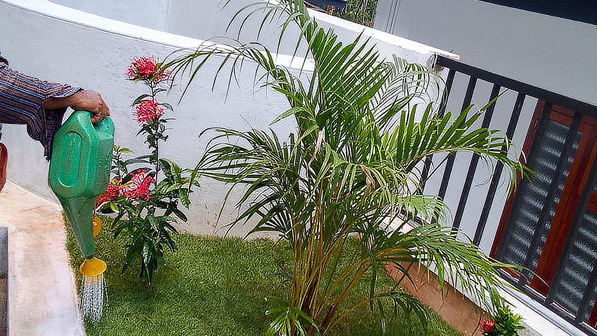 House At Valiyannur - Image 4