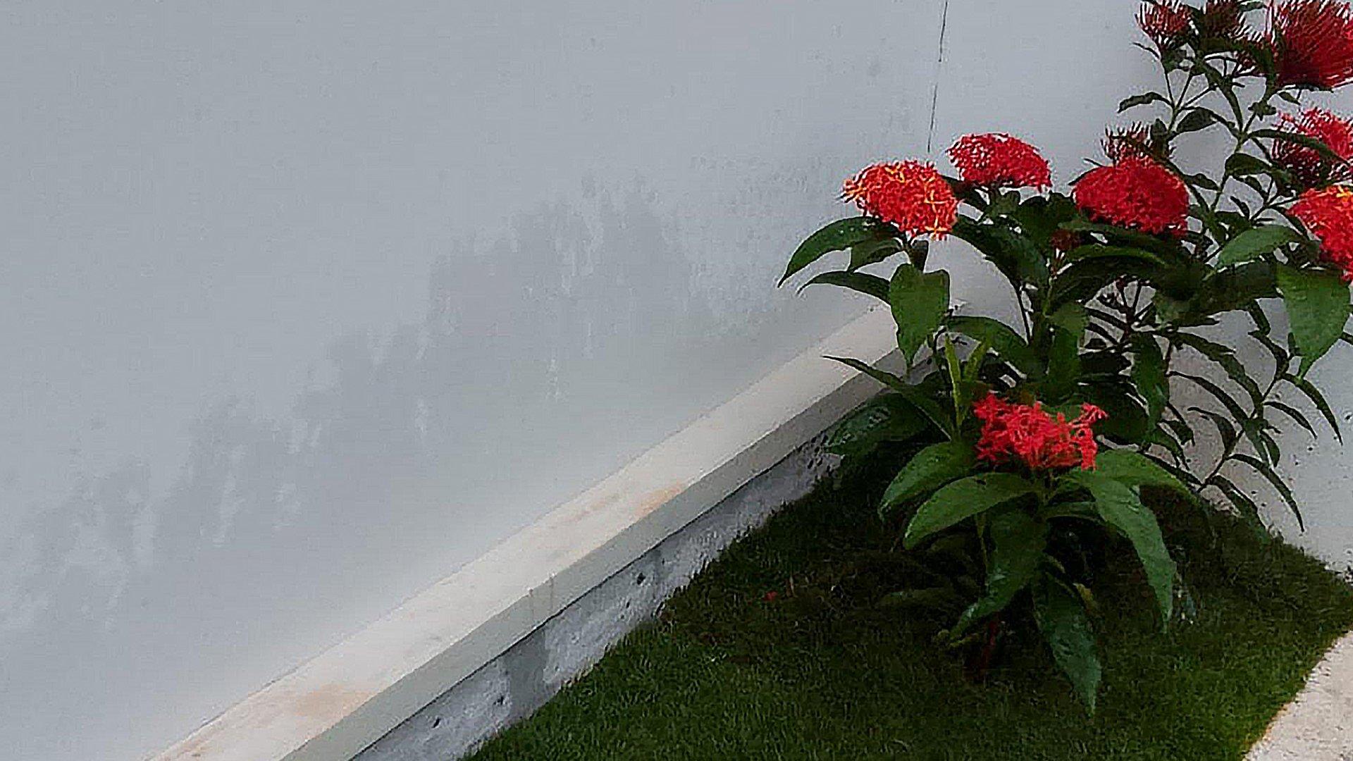 House At Valiyannur - Image 5