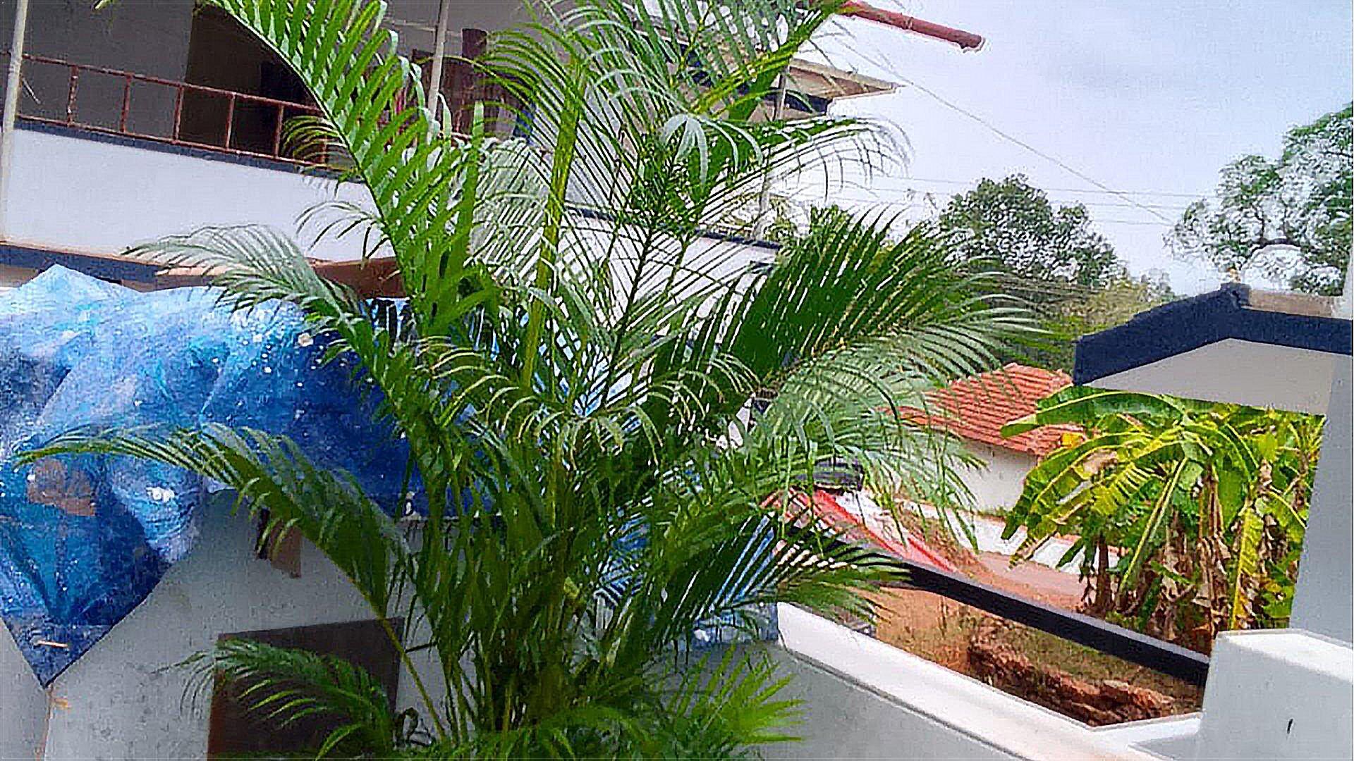 House At Valiyannur — photo 8