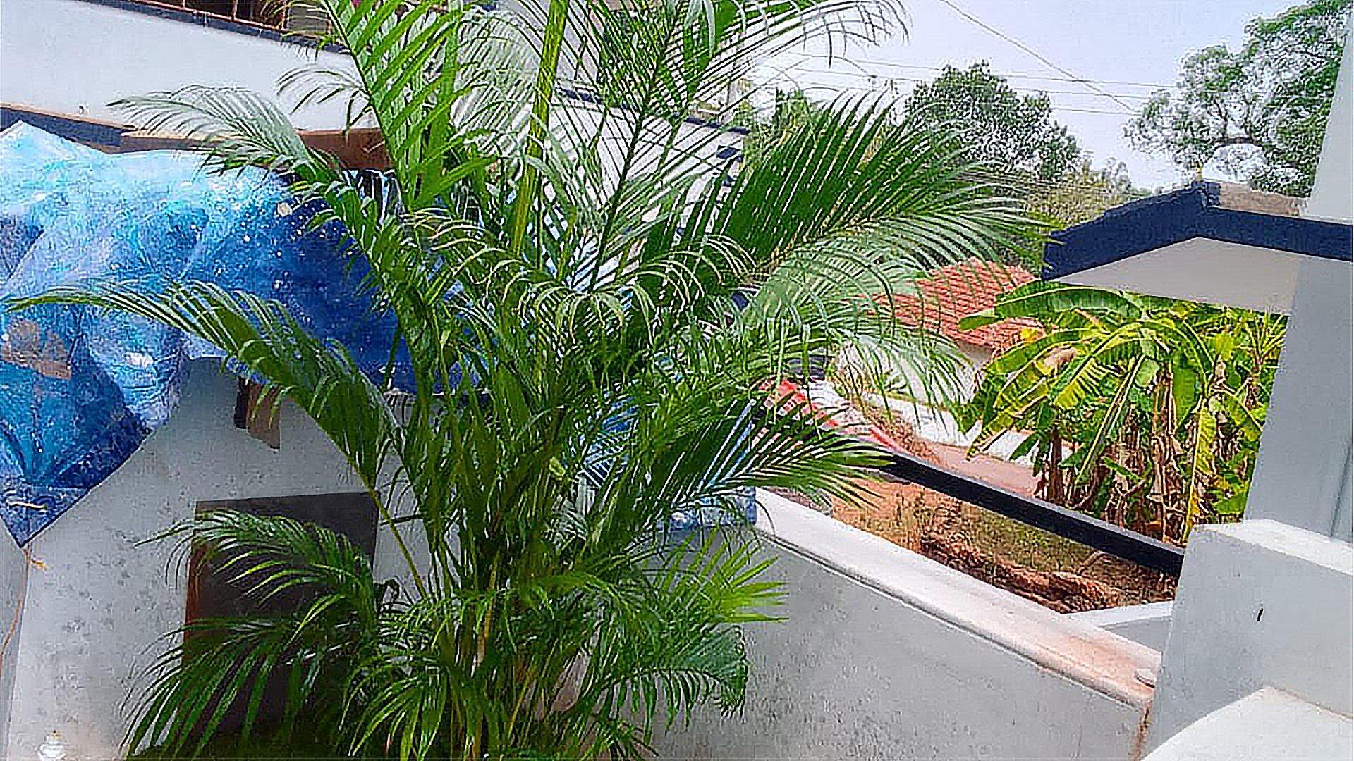 House At Valiyannur — photo 9