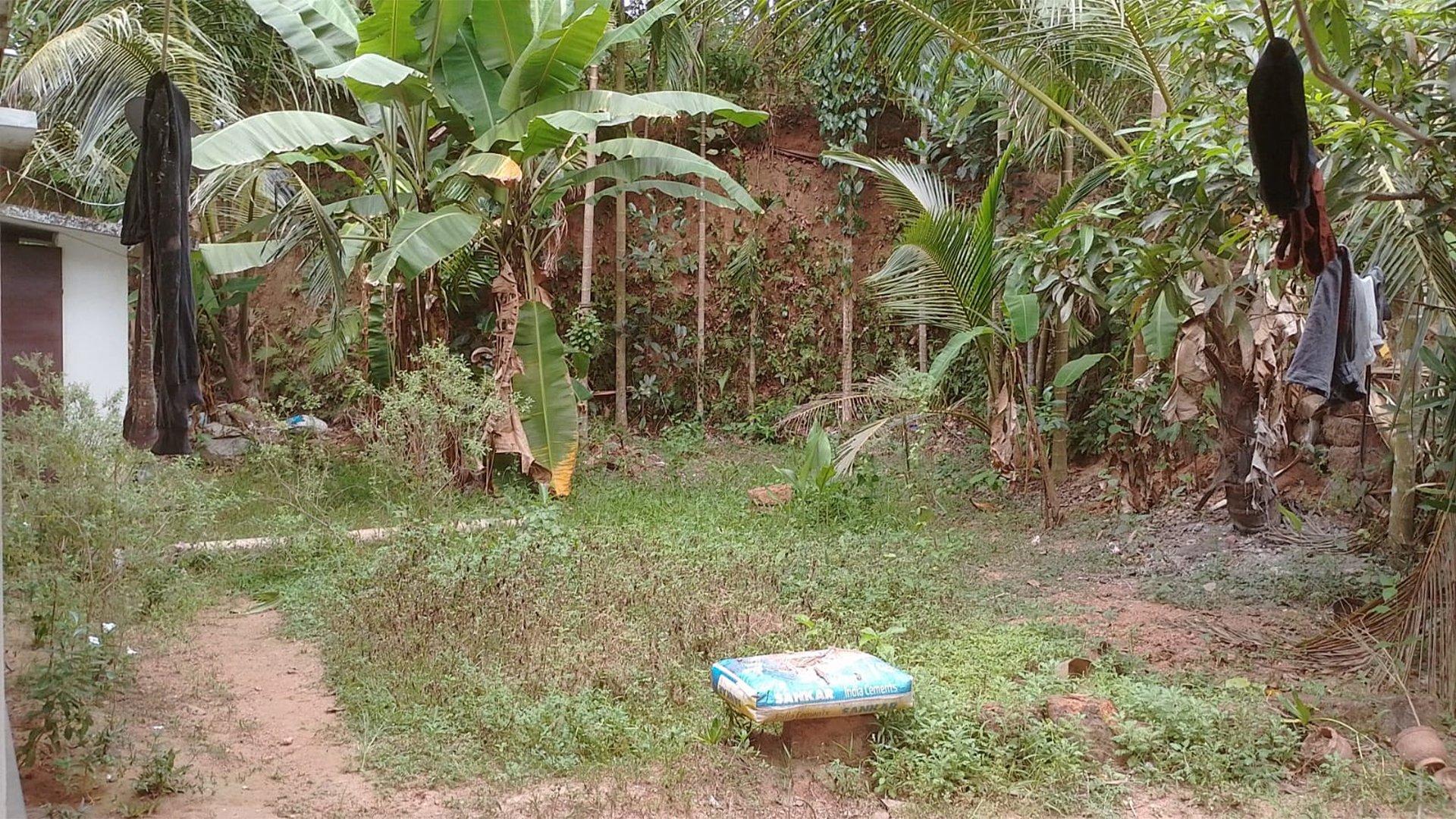 Plot And House At Malal Kadiroor — photo 5