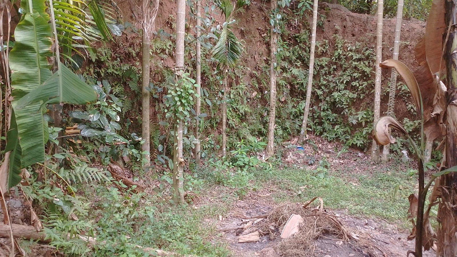 Plot And House At Malal Kadiroor — photo 6