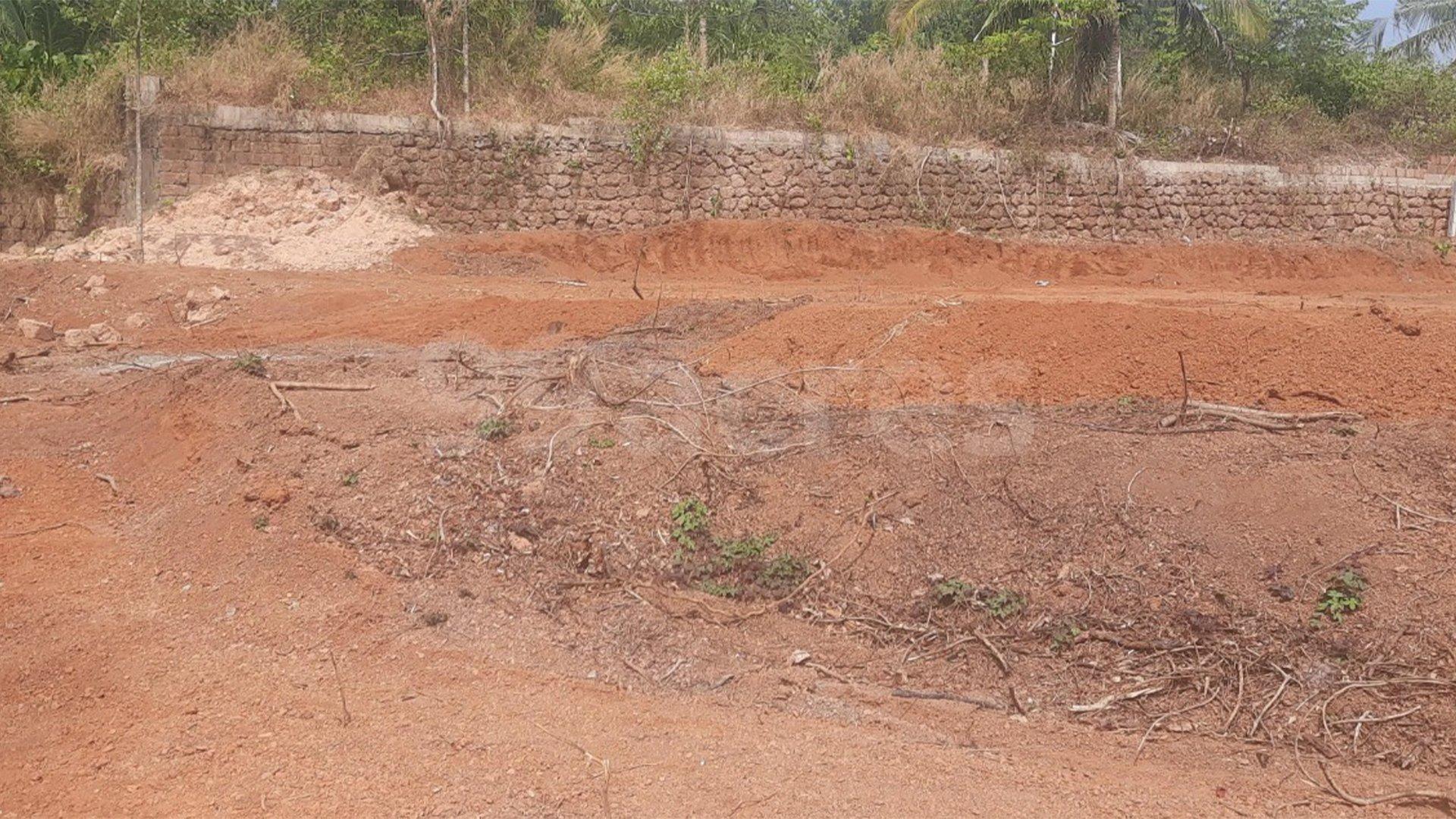 Plot At Thottada - Image 3