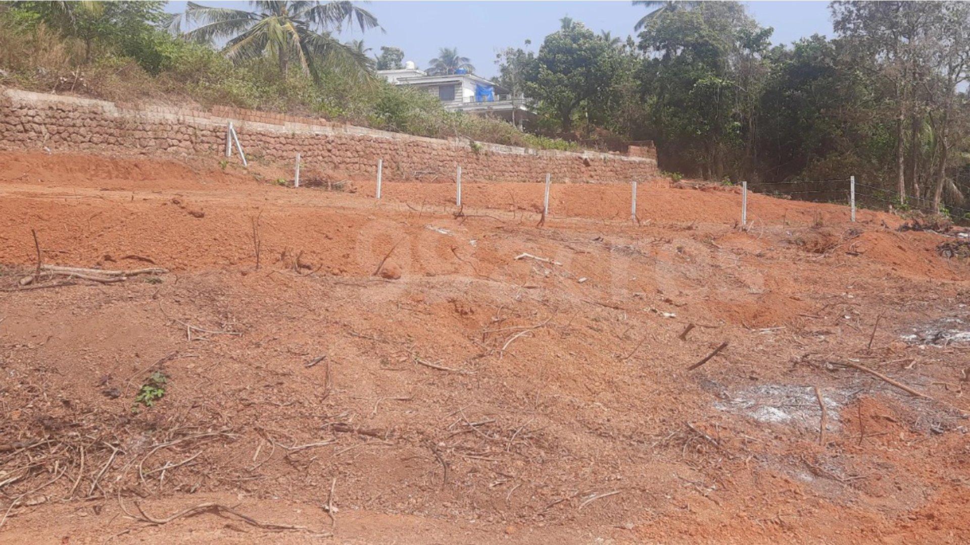 Plot At Thottada - Image 5