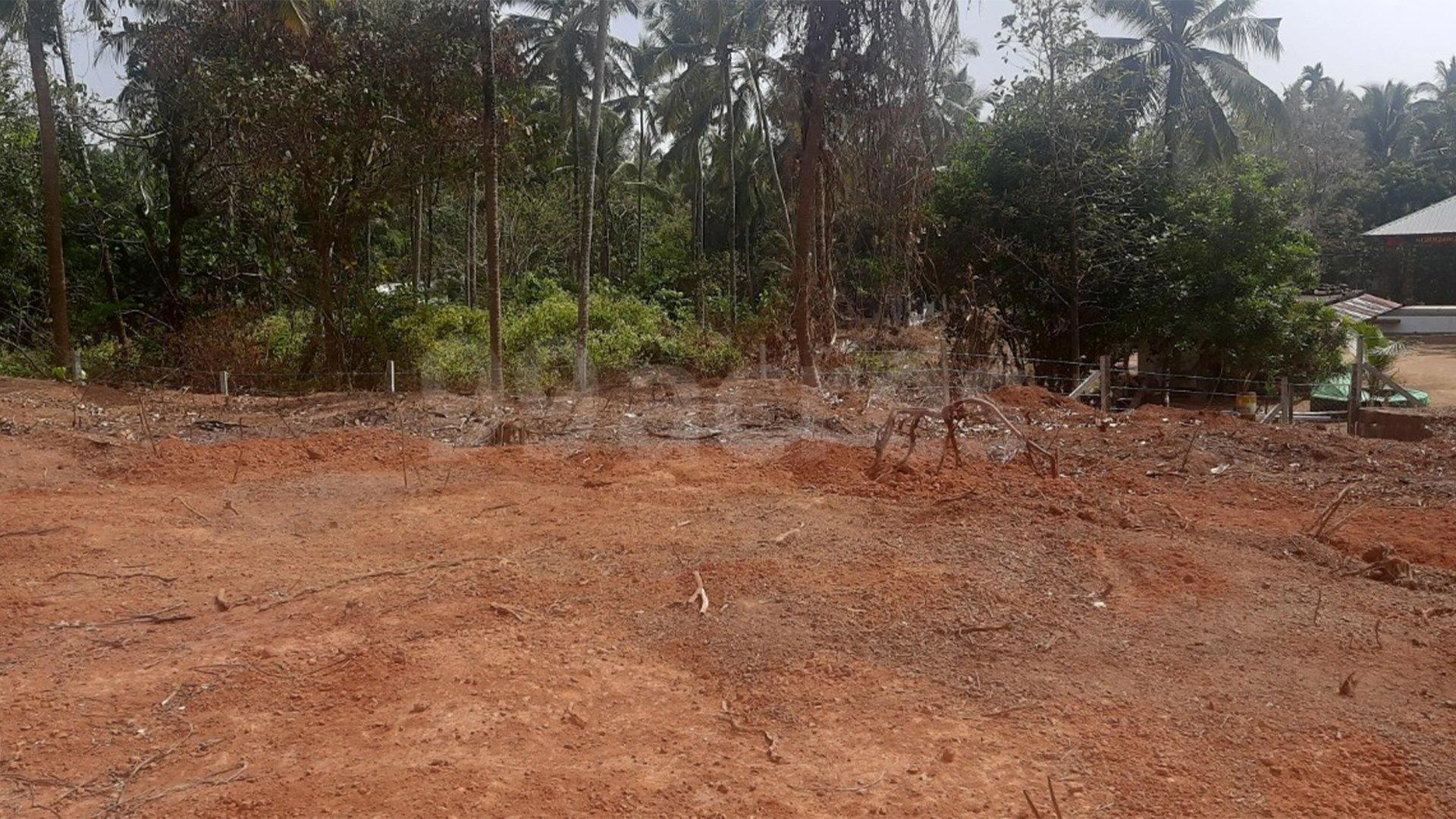 Plot At Thottada — photo 7