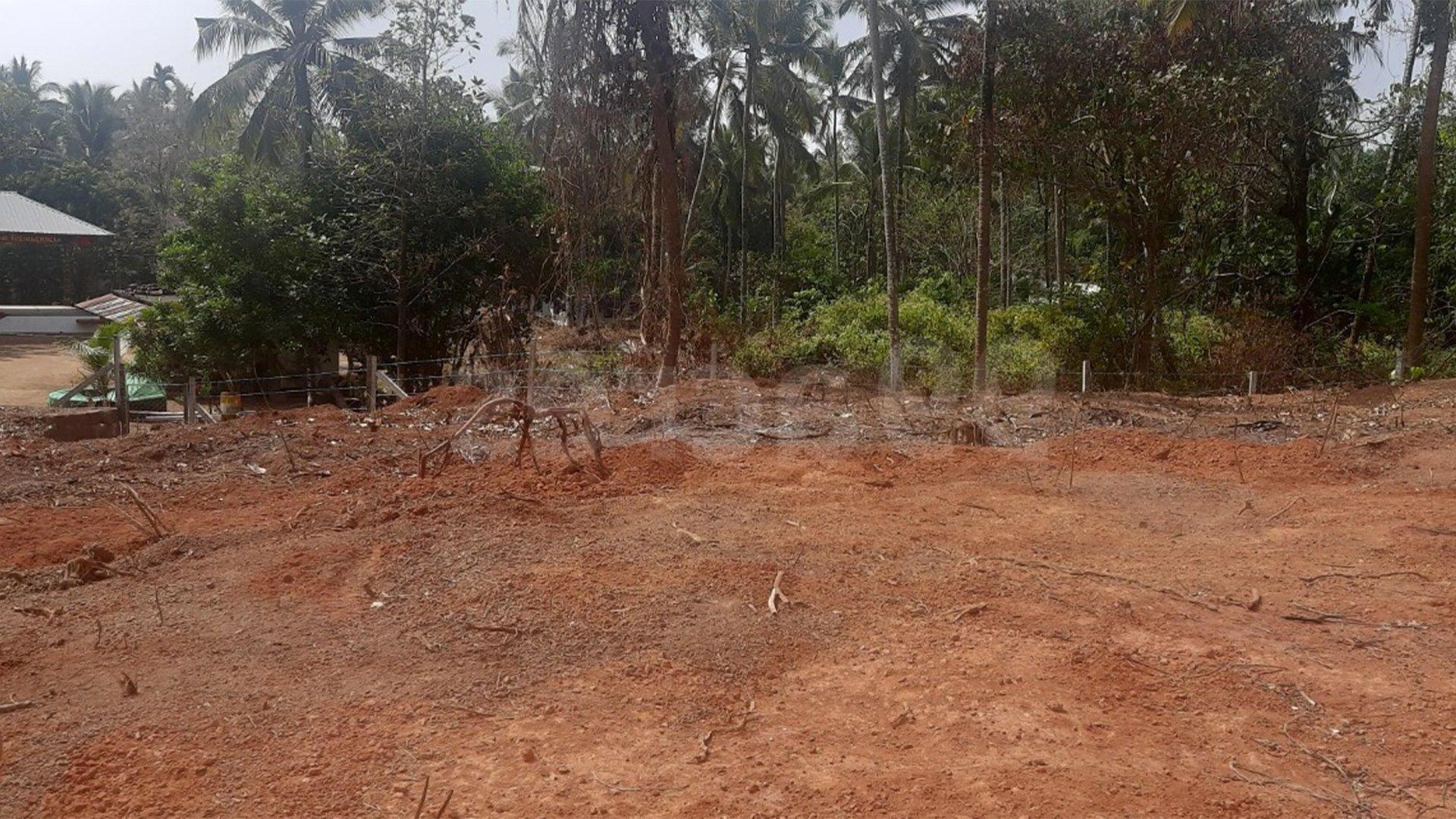 Plot At Thottada — photo 9