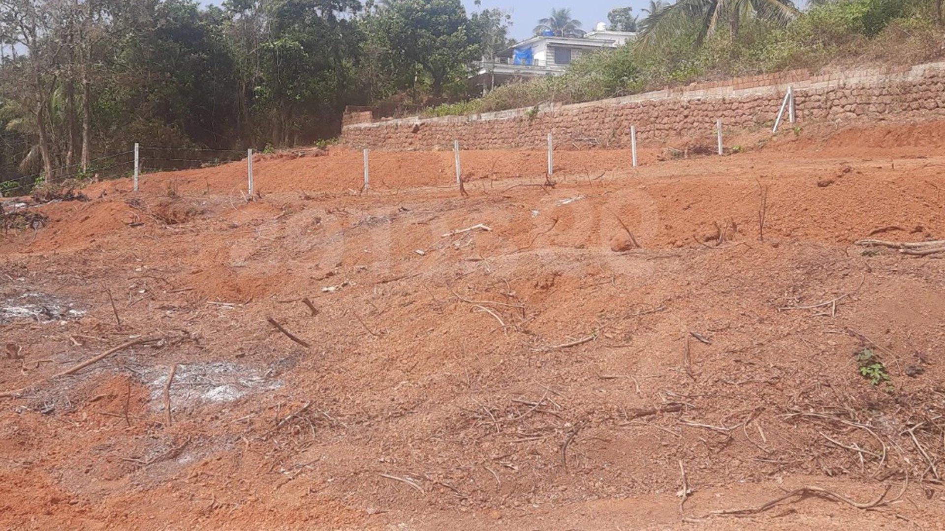 Plot At Thottada — photo 10