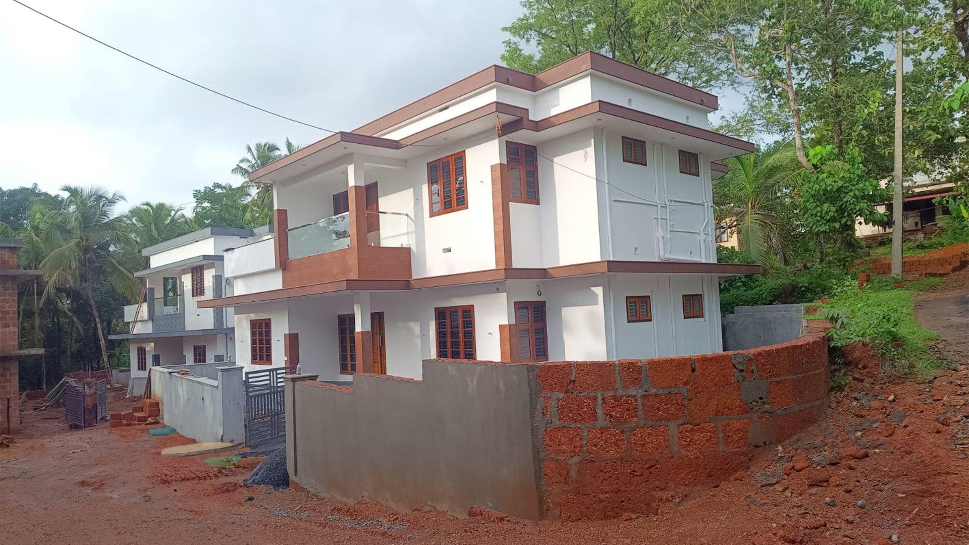 Bluerose Harmony - Image 3