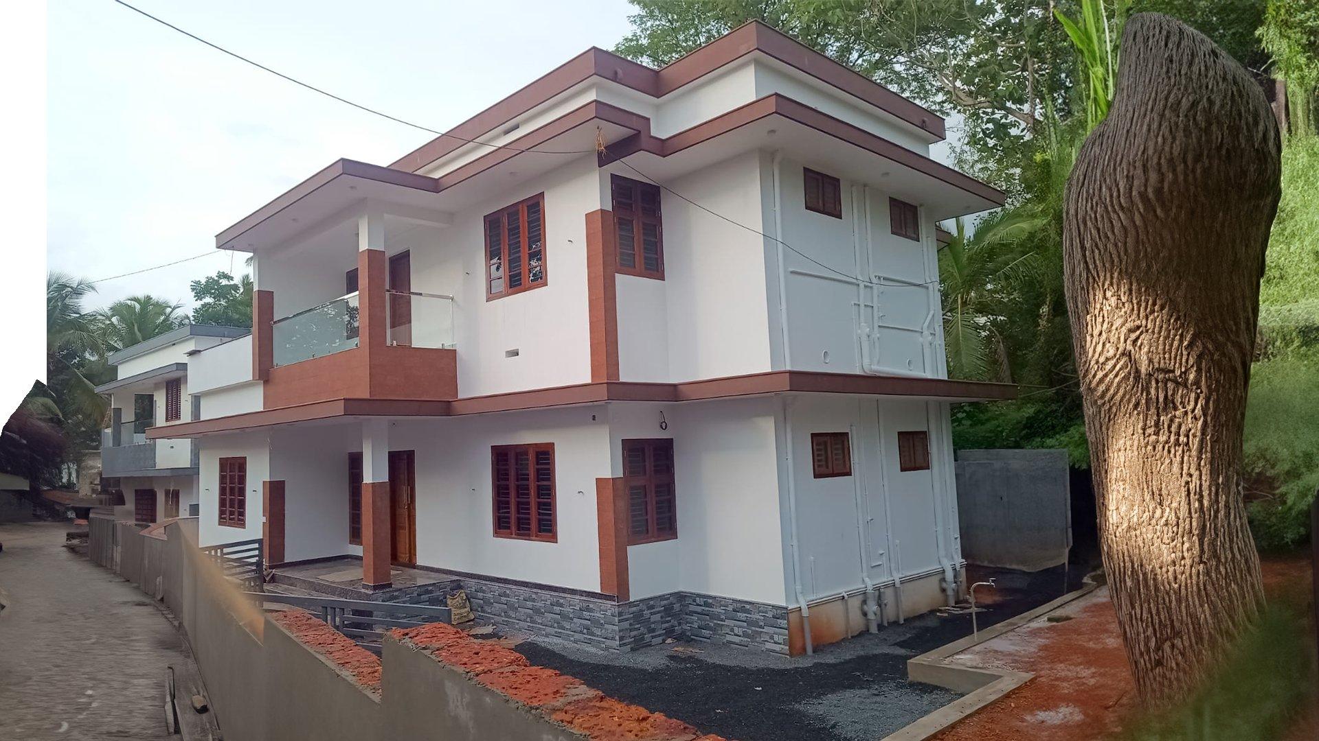 Bluerose Harmony - Image 4