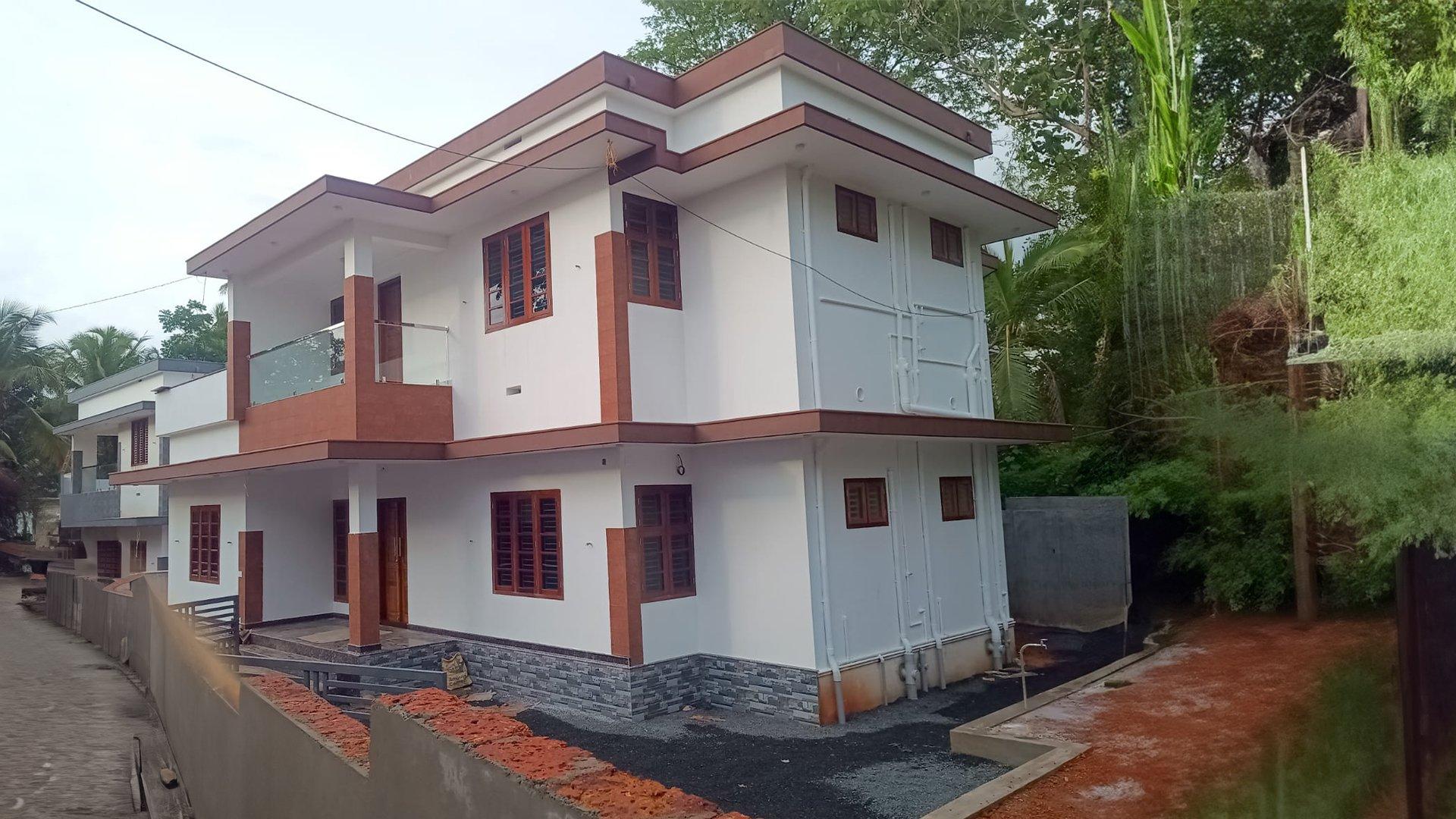 Bluerose Harmony - Image 5