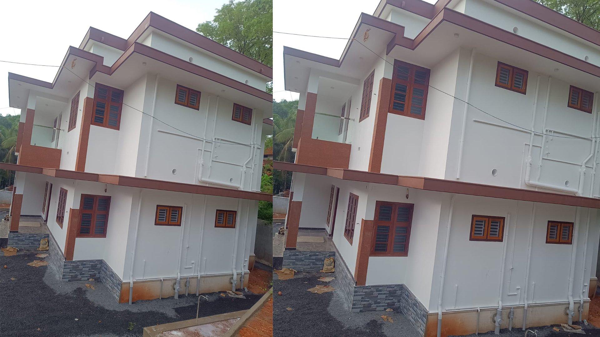 Bluerose Harmony - Image 6