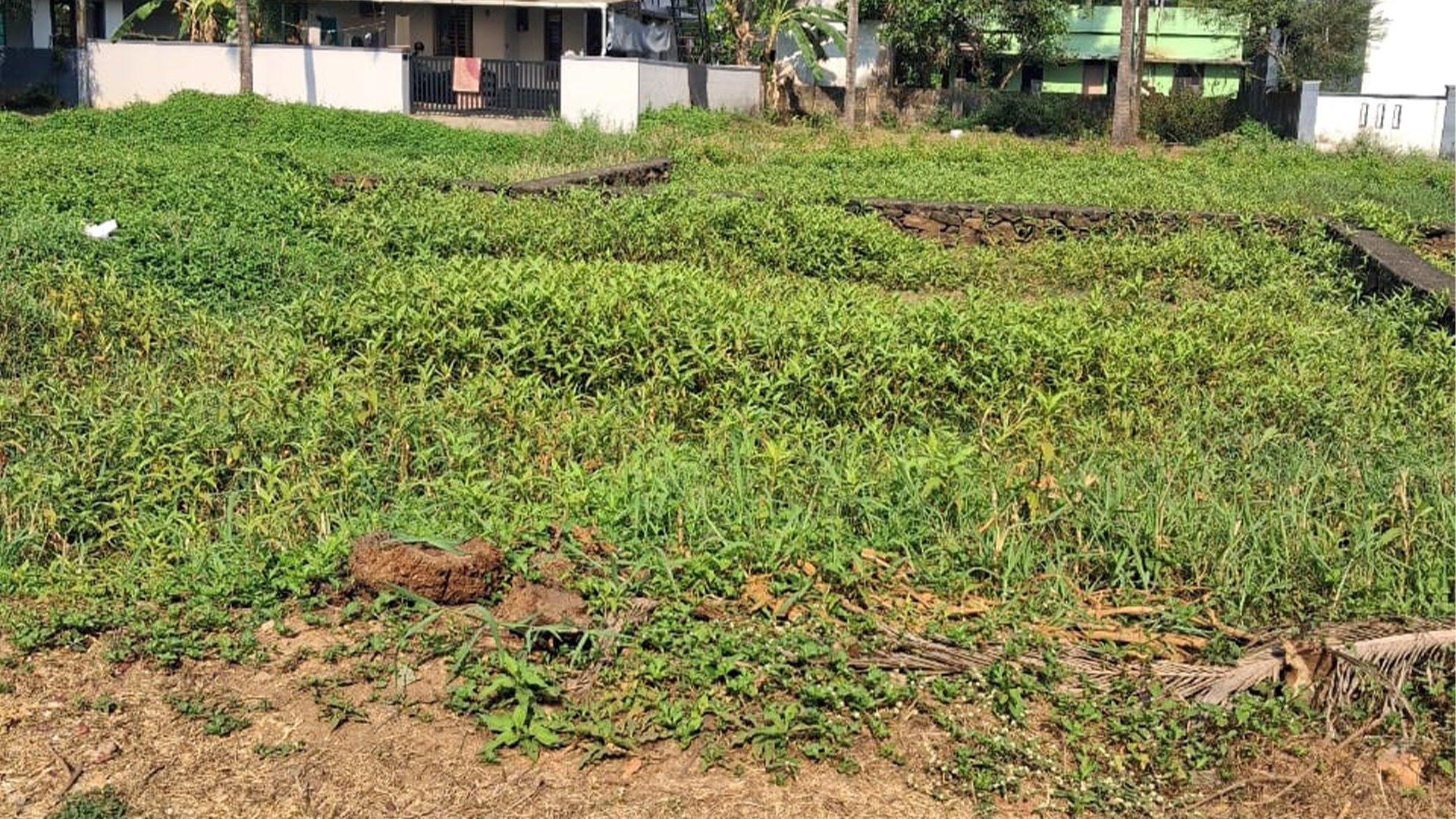 Plot At Veliyathunadu - Image 2