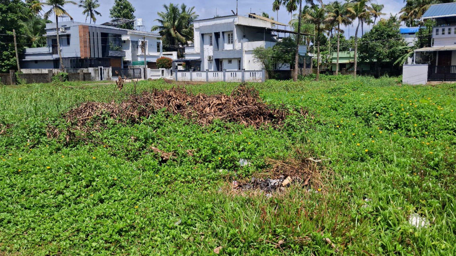 Plot At Veliyathunadu - Image 5