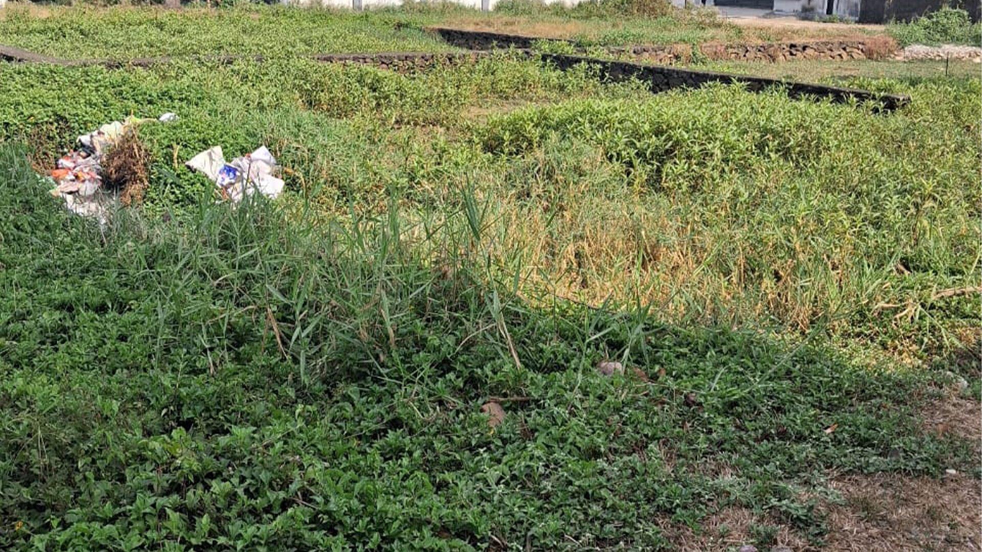 Plot At Veliyathunadu — photo 9