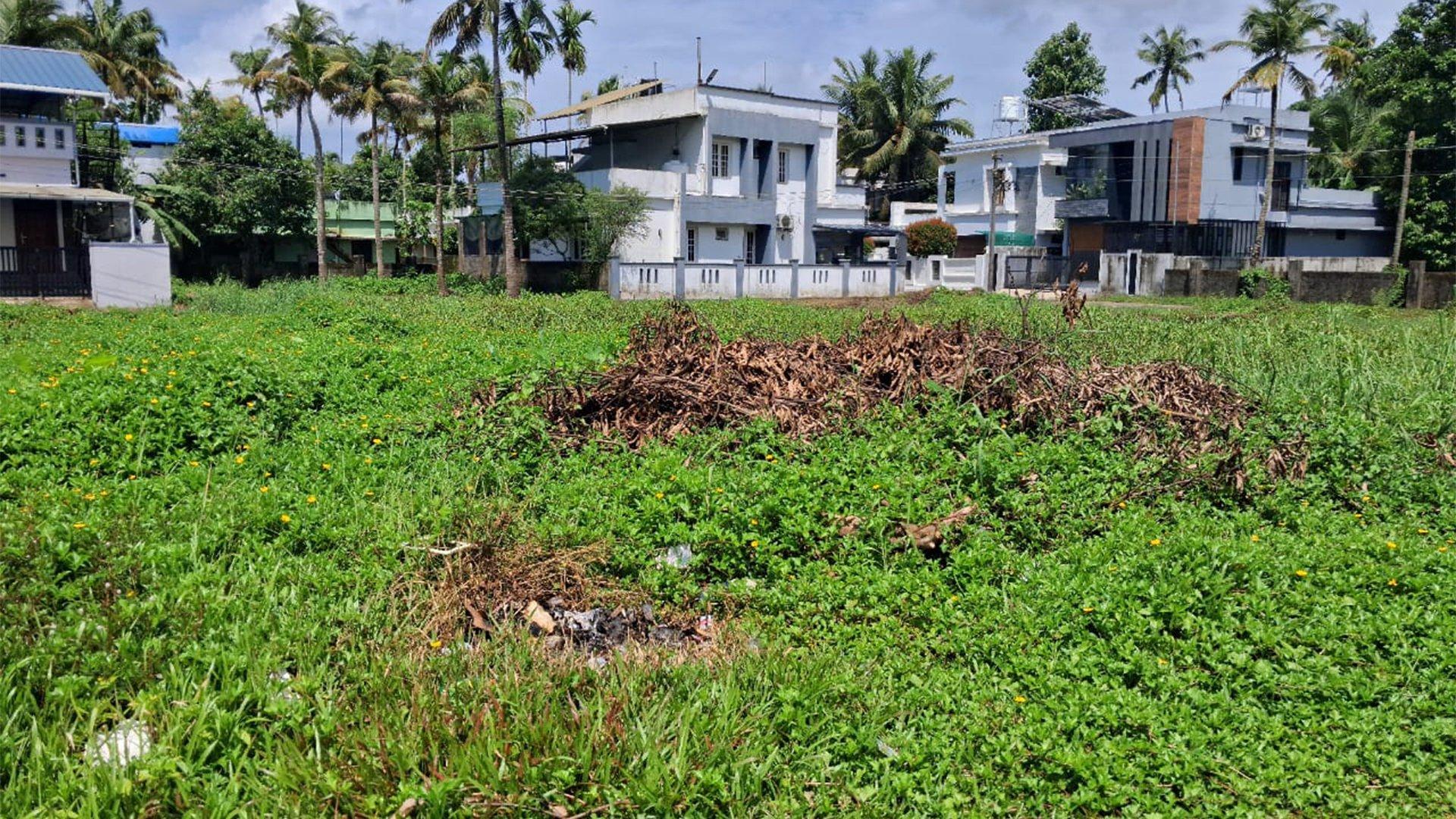 Plot At Veliyathunadu — photo 10