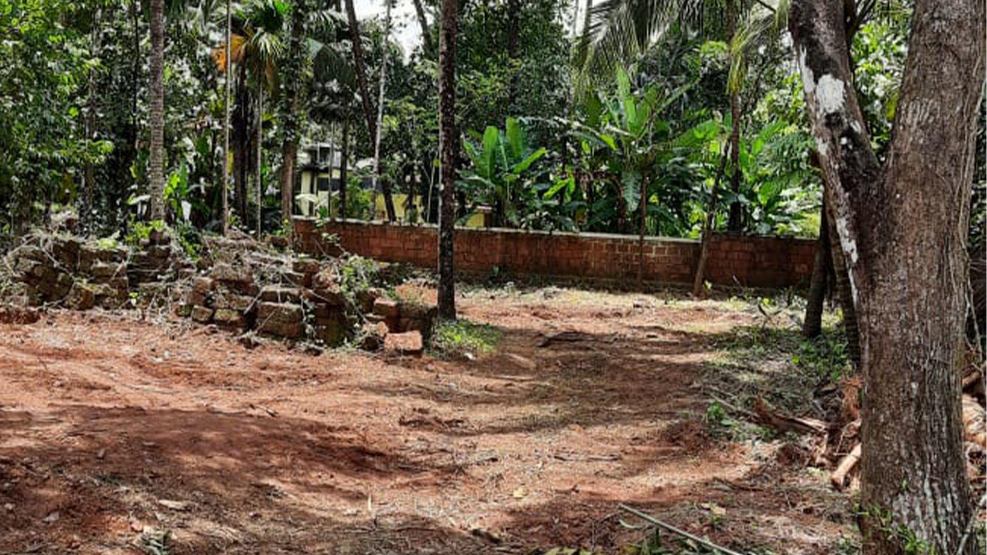 Plot At Puthiyatheru in Puthiyatheru