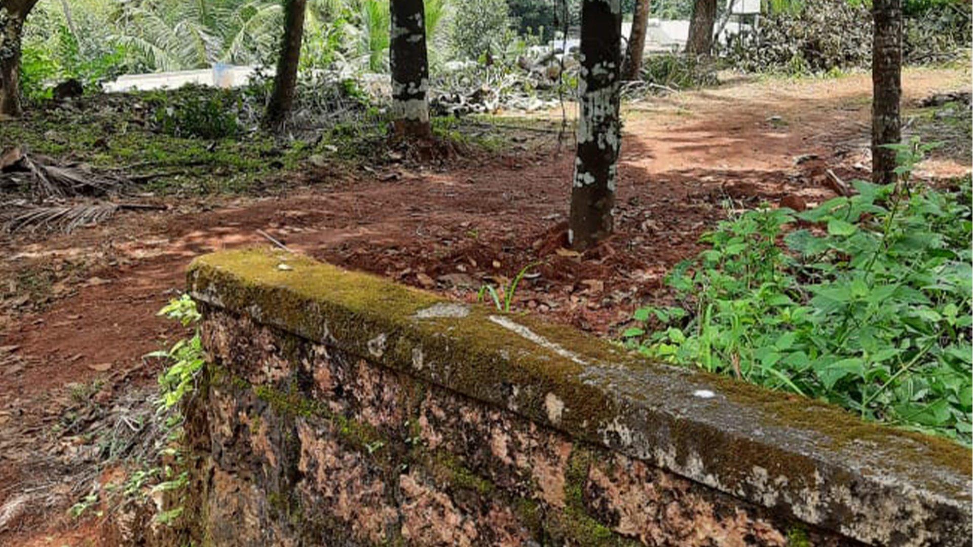 Plot At Puthiyatheru - Image 3