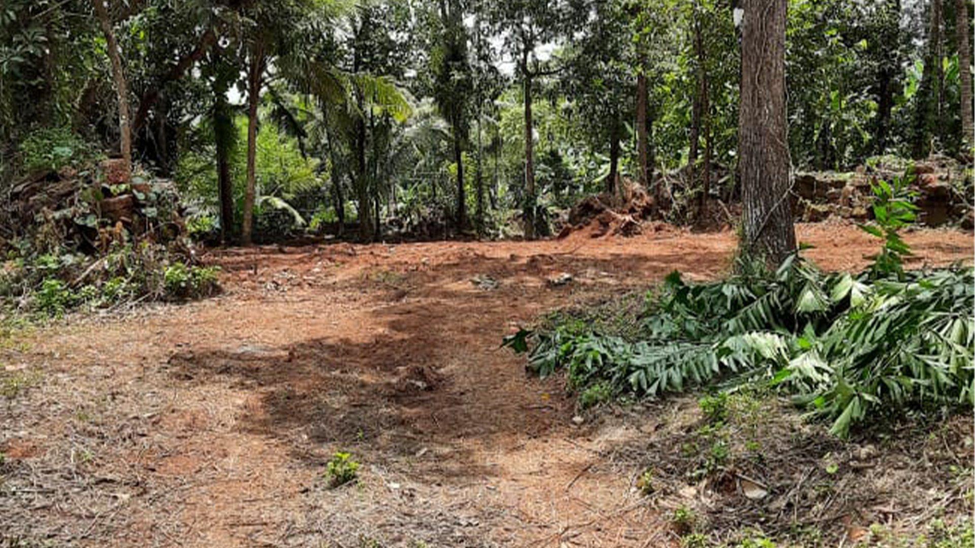 Plot At Puthiyatheru - Image 2