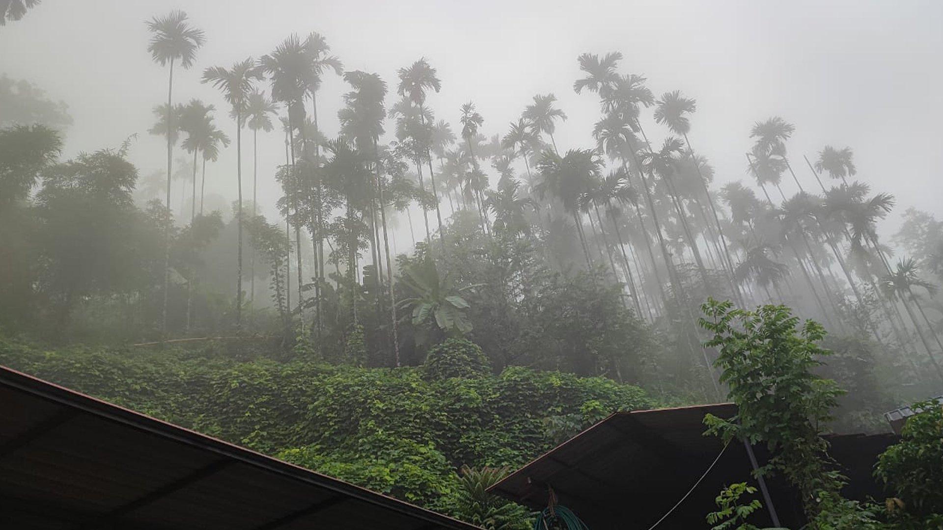 Plot At Vayathur - Image 6