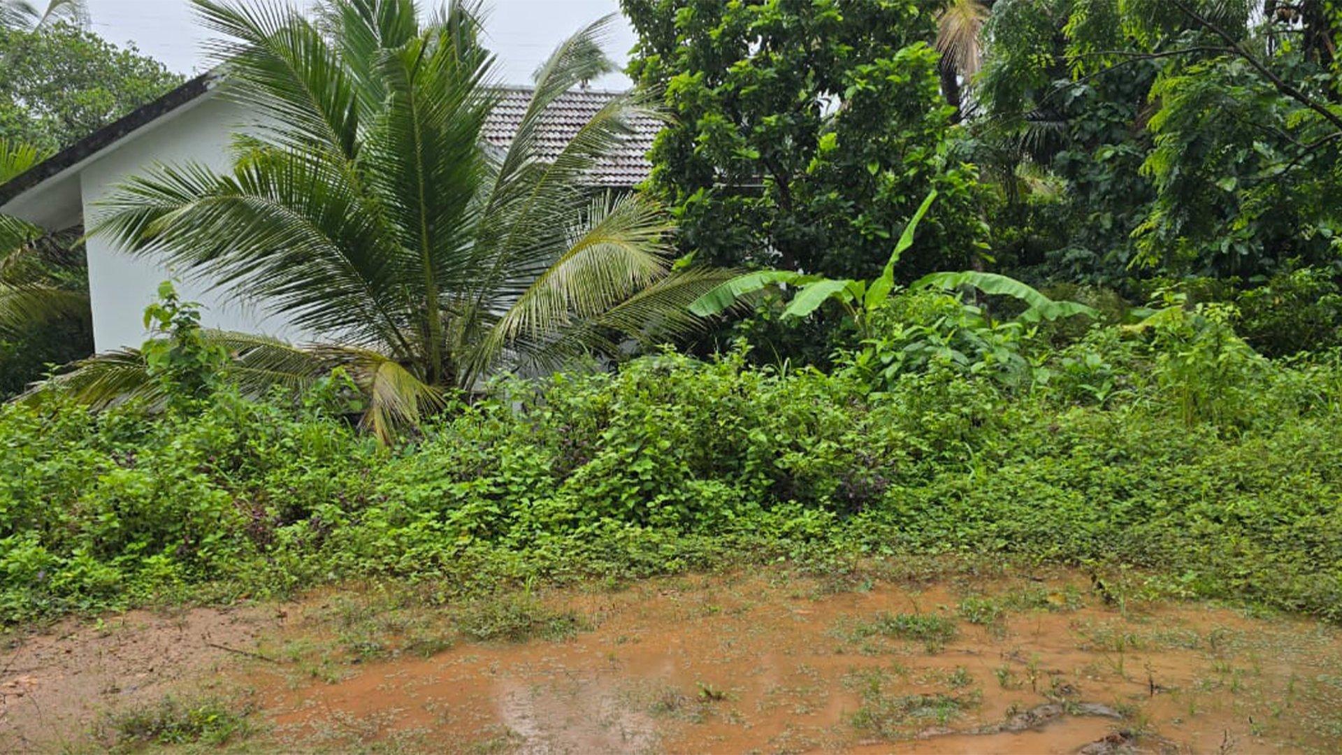 Plot At Kadachira - Image 3