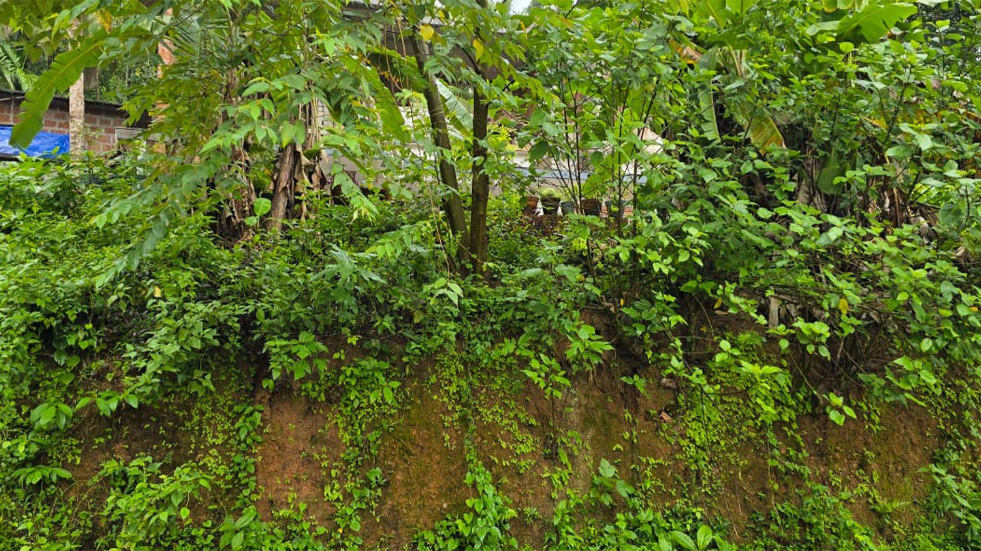 Plot At Kadachira - Image 5