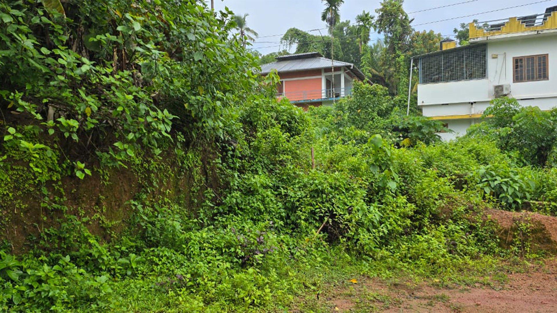 Plot At Kadachira - Image 6