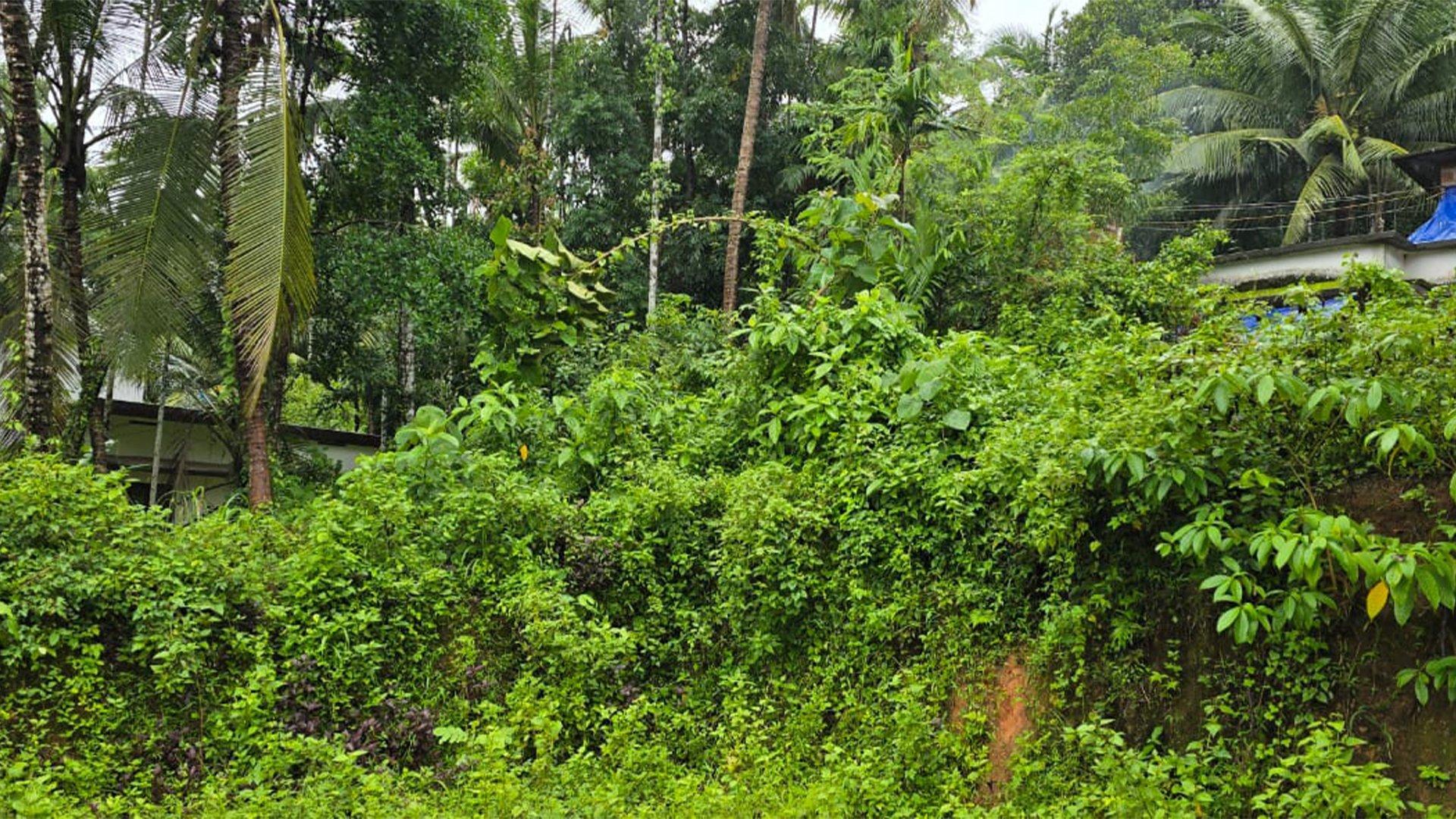 Plot At Kadachira — photo 7