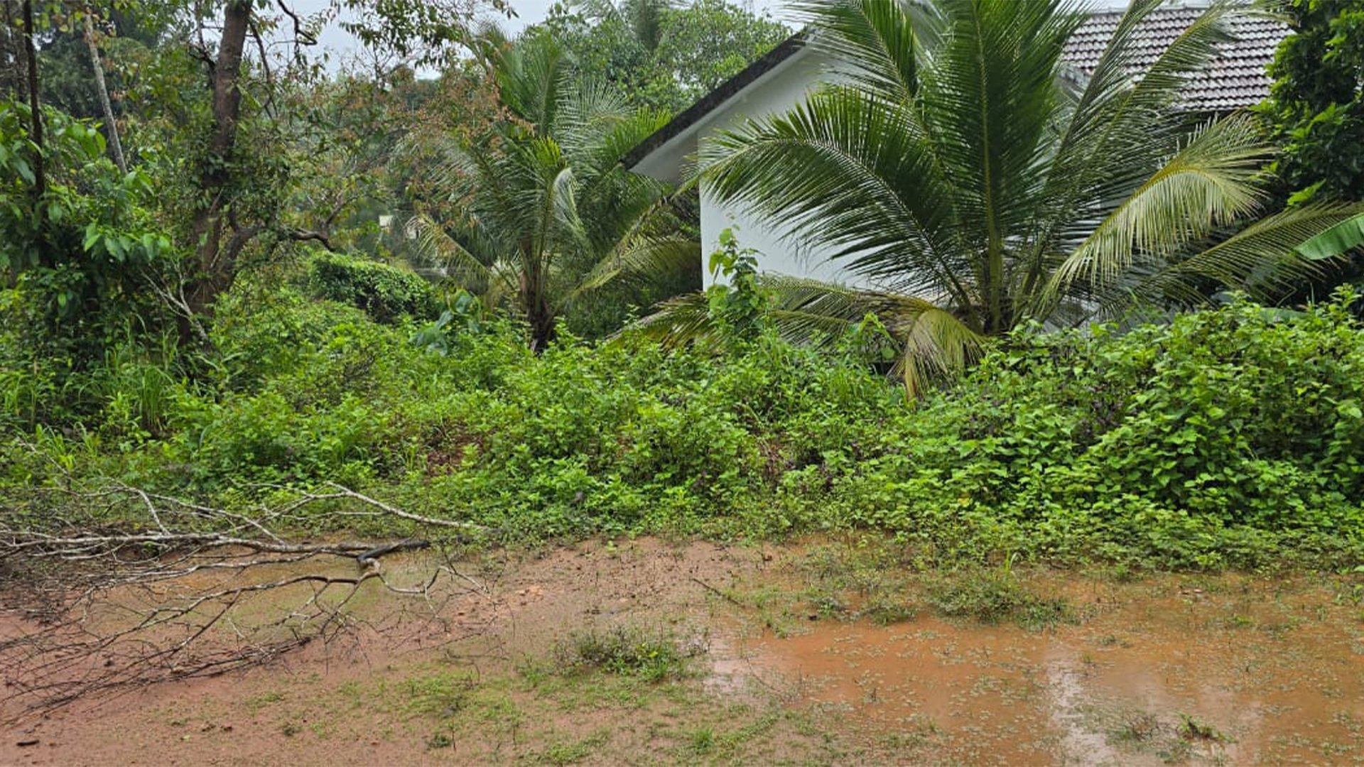 Plot At Kadachira — photo 8