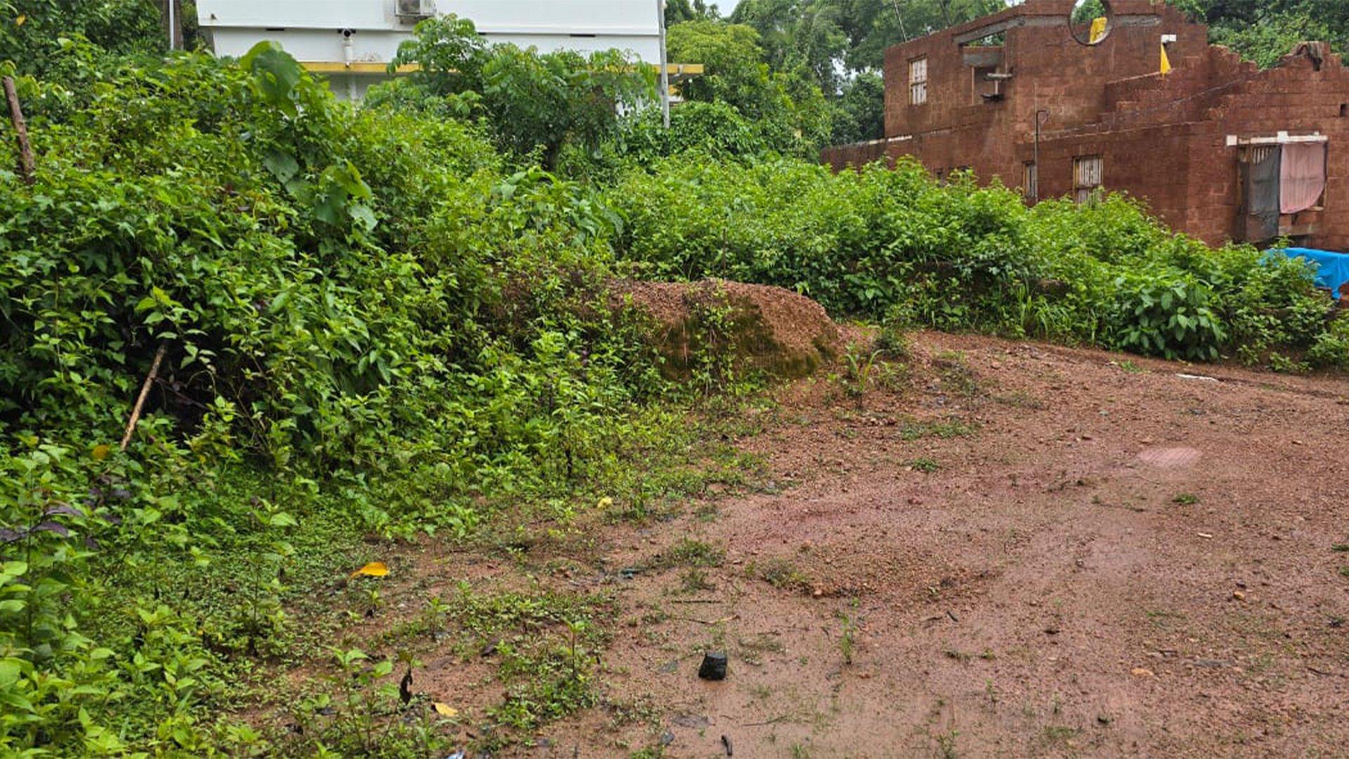 Plot At Kadachira — photo 10