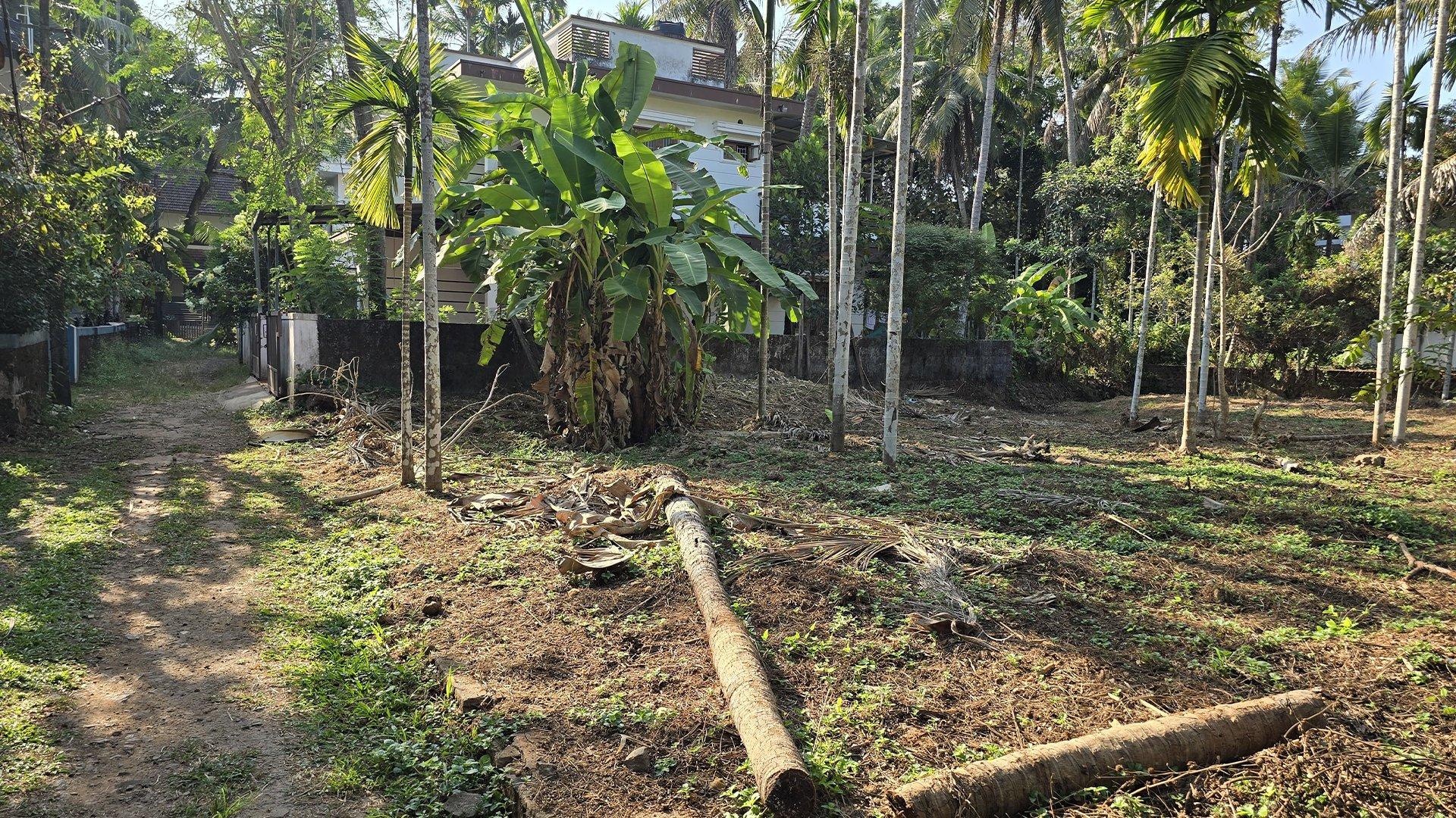 Plot At Moozhikkara - Image 2