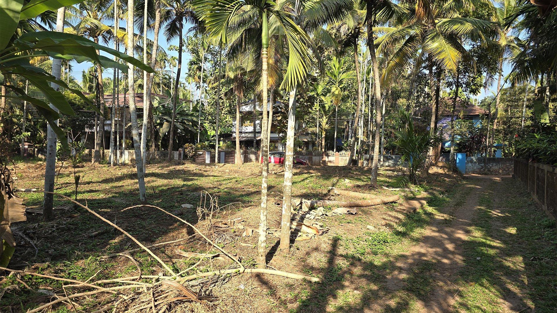 Plot At Moozhikkara - Image 4
