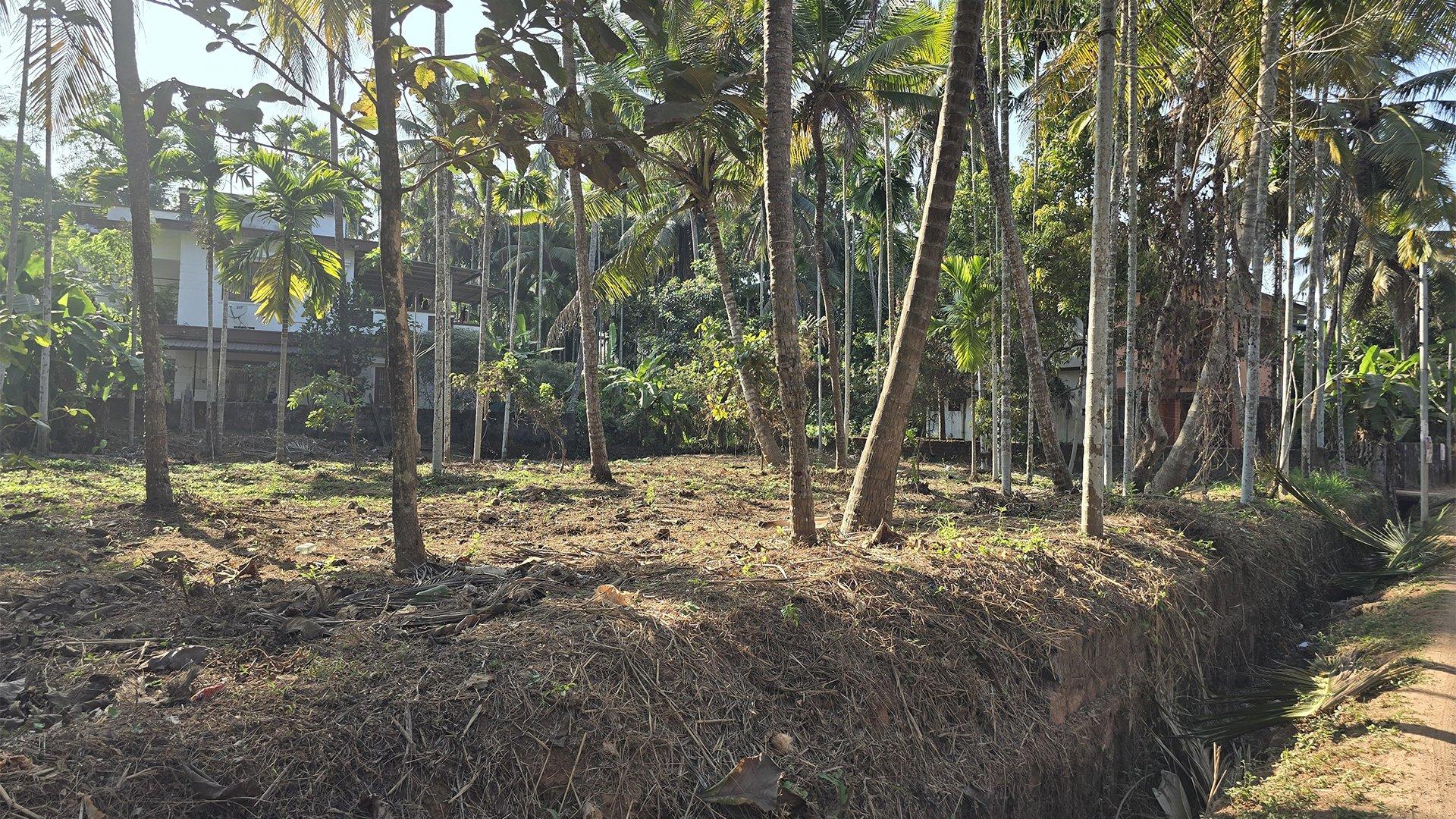 Plot At Moozhikkara - Image 5