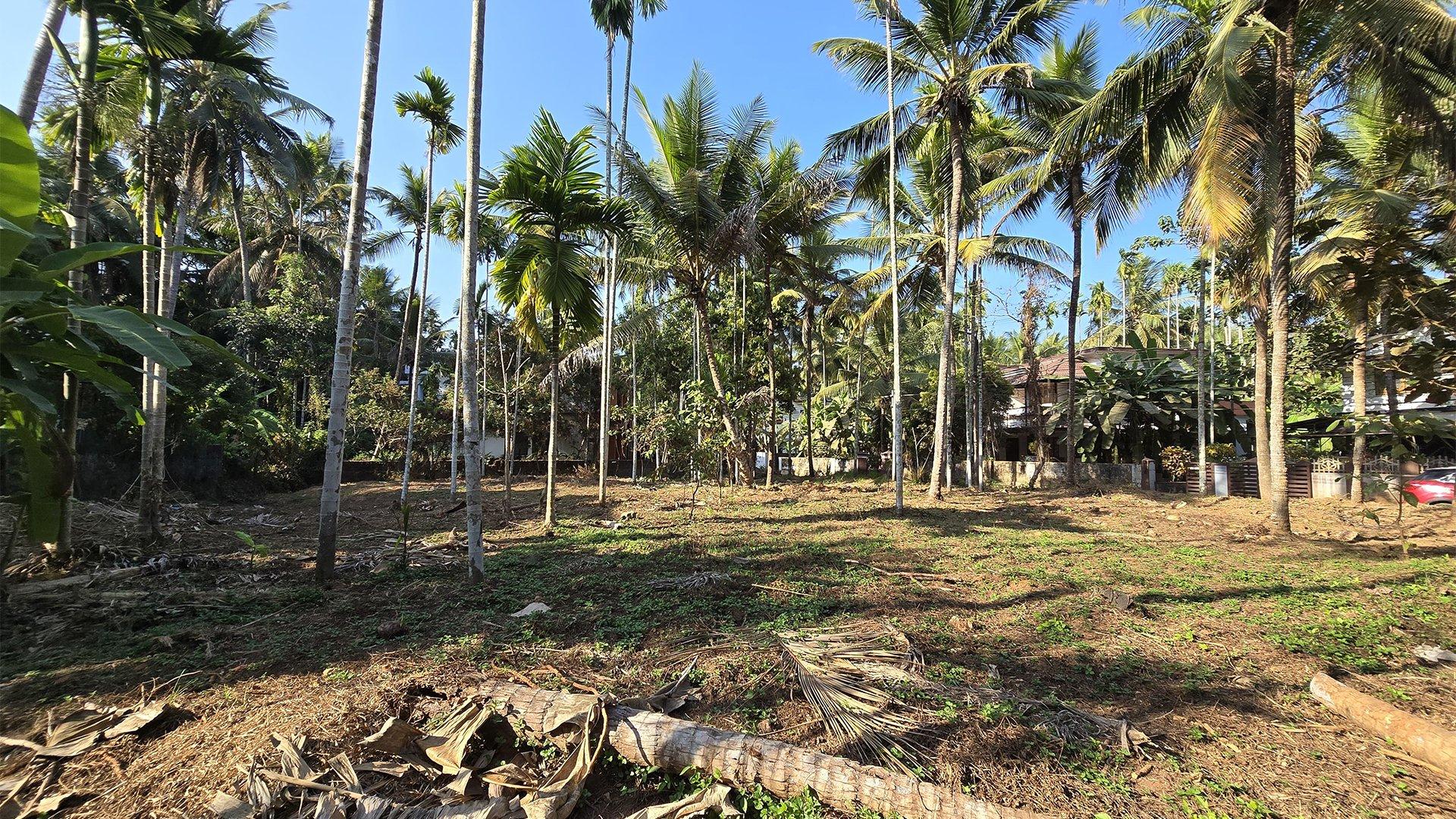 Plot At Moozhikkara — photo 10