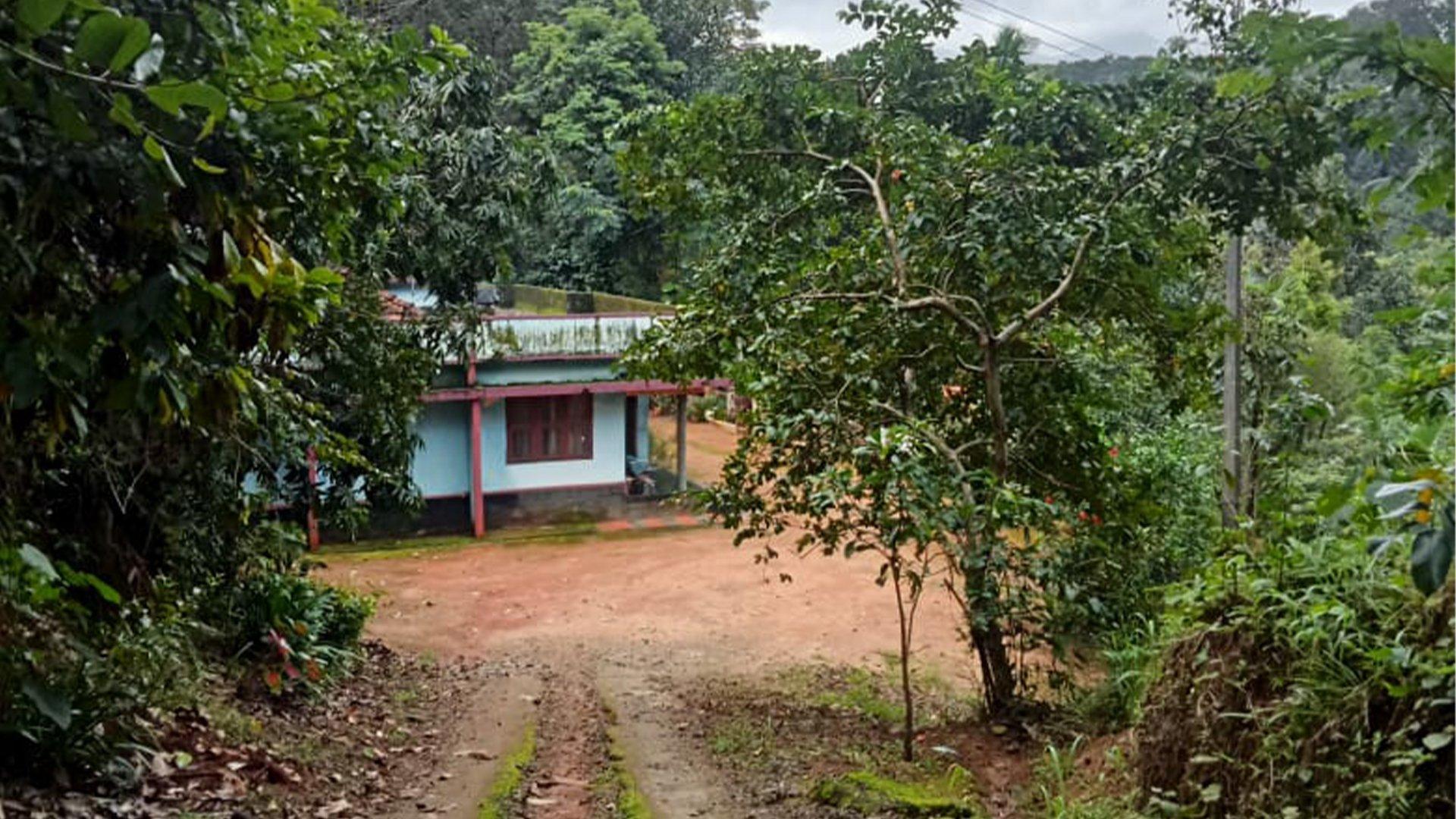 3.3 Acres Plot At Konnathady in Konnathady