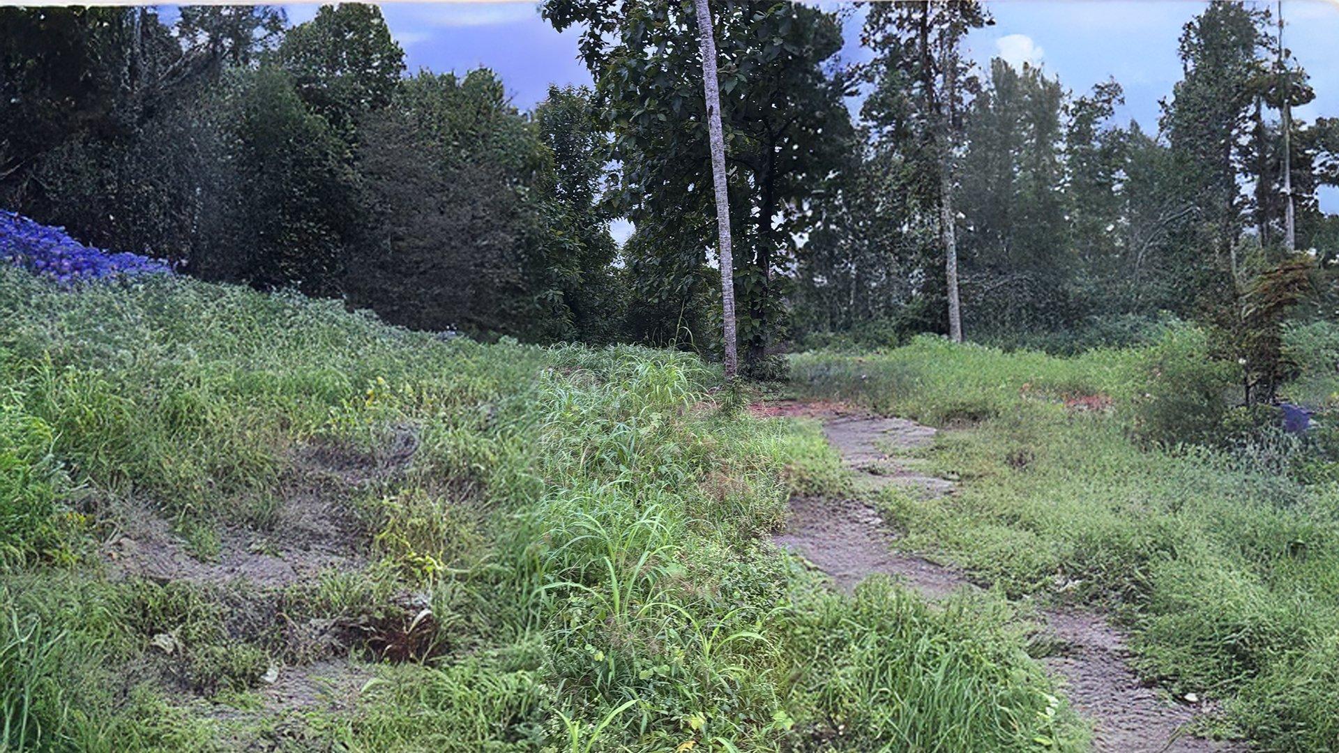 Plot At Kadirur - Image 3