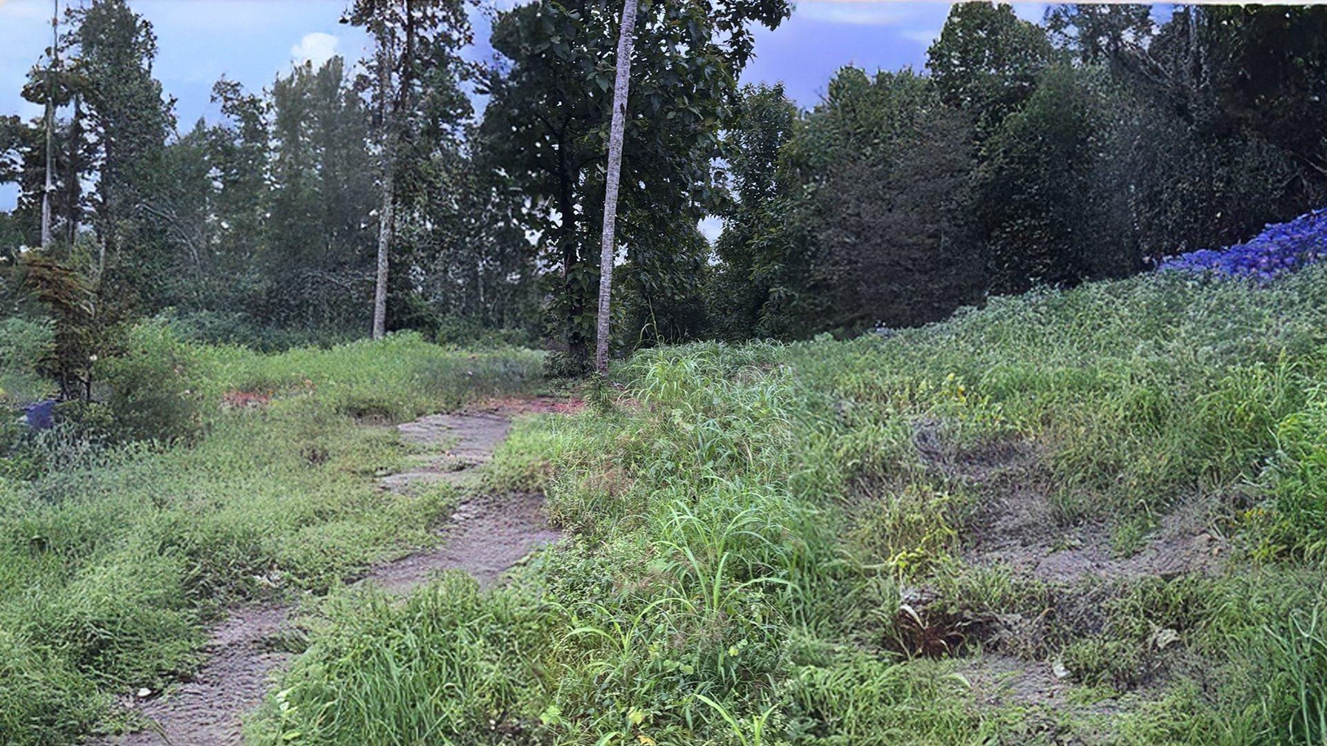 Plot At Kadirur - Image 6