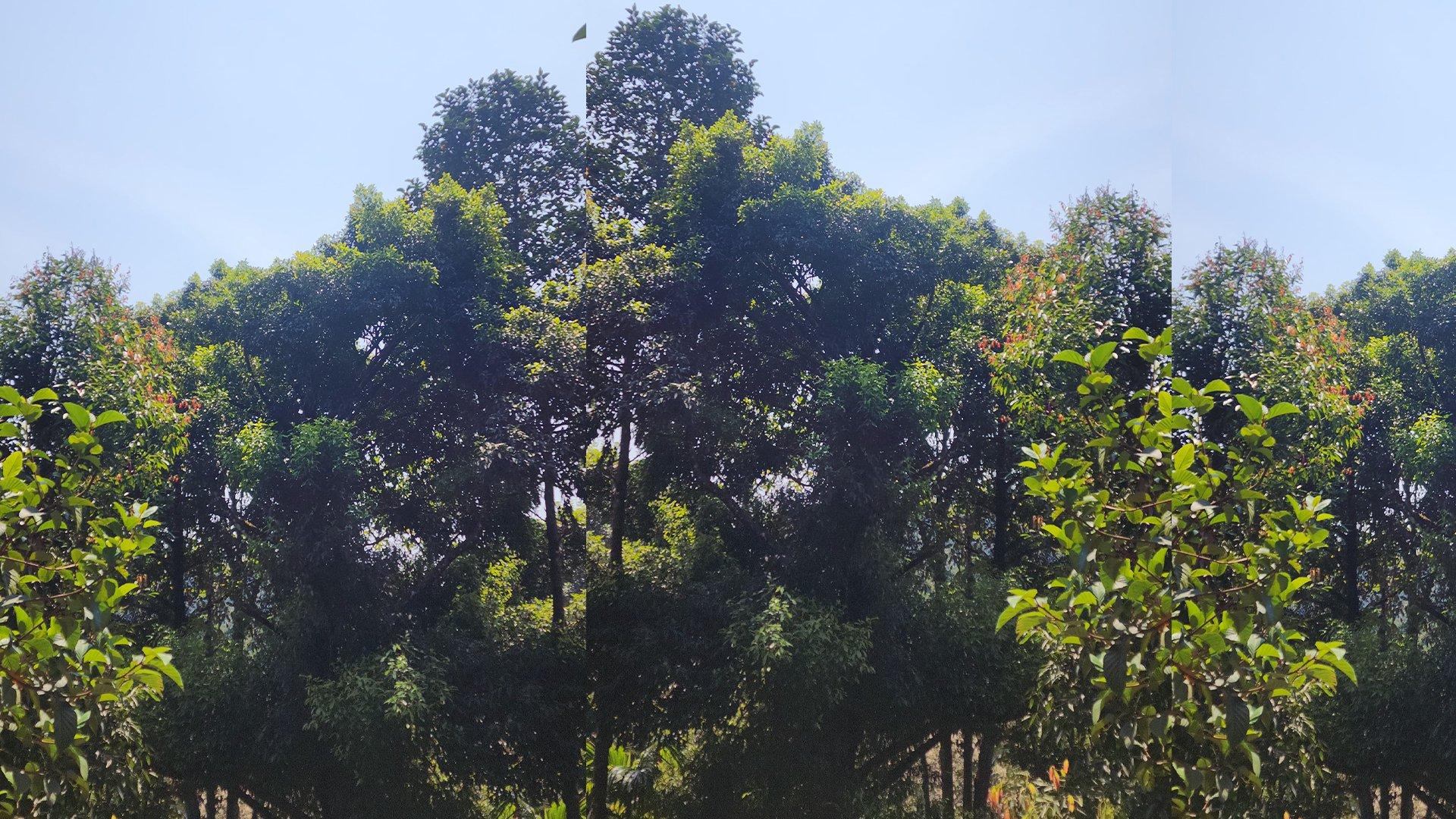 Plot At Idukki - Image 2