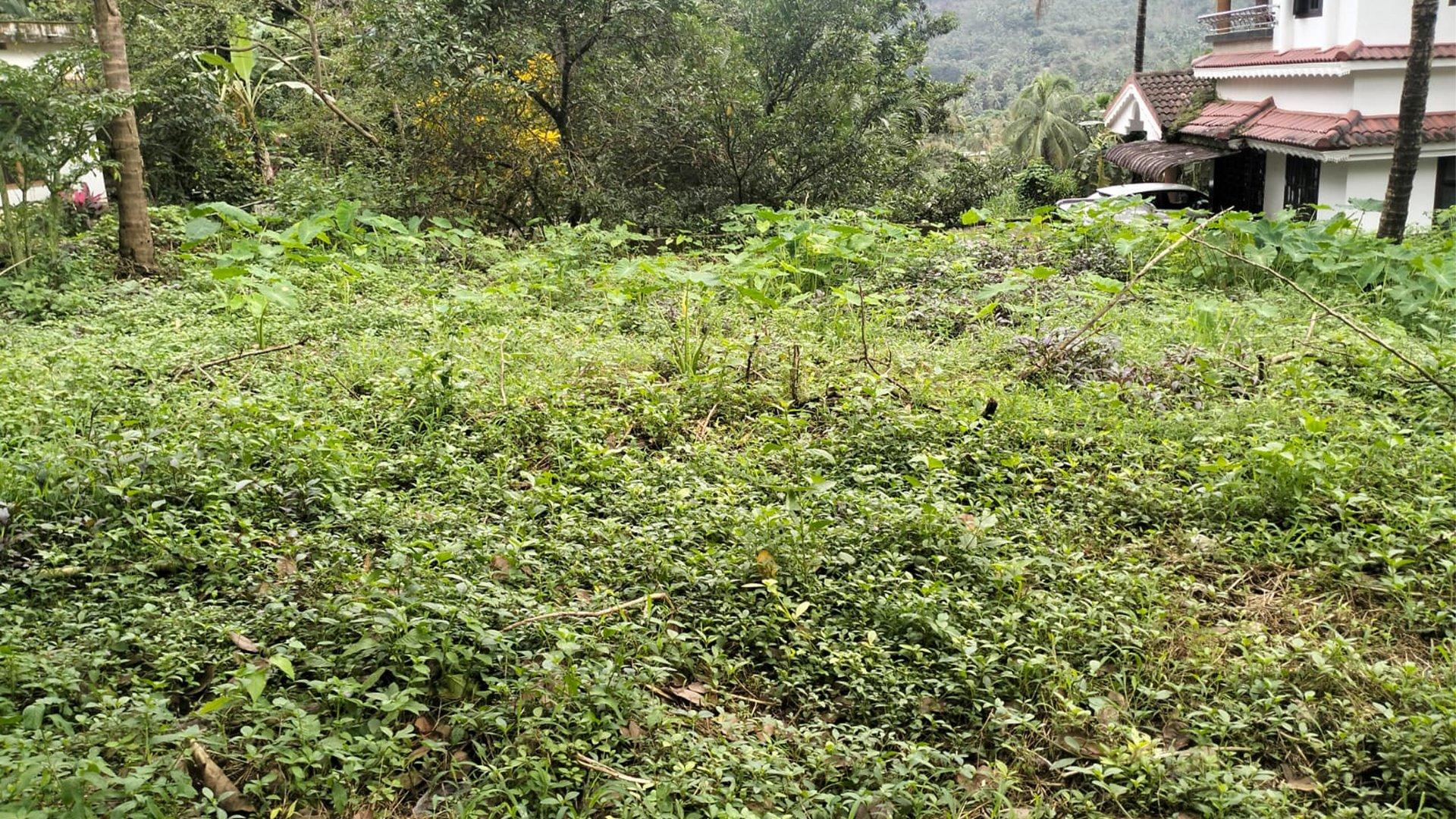 Plot At Pulingome - Image 2