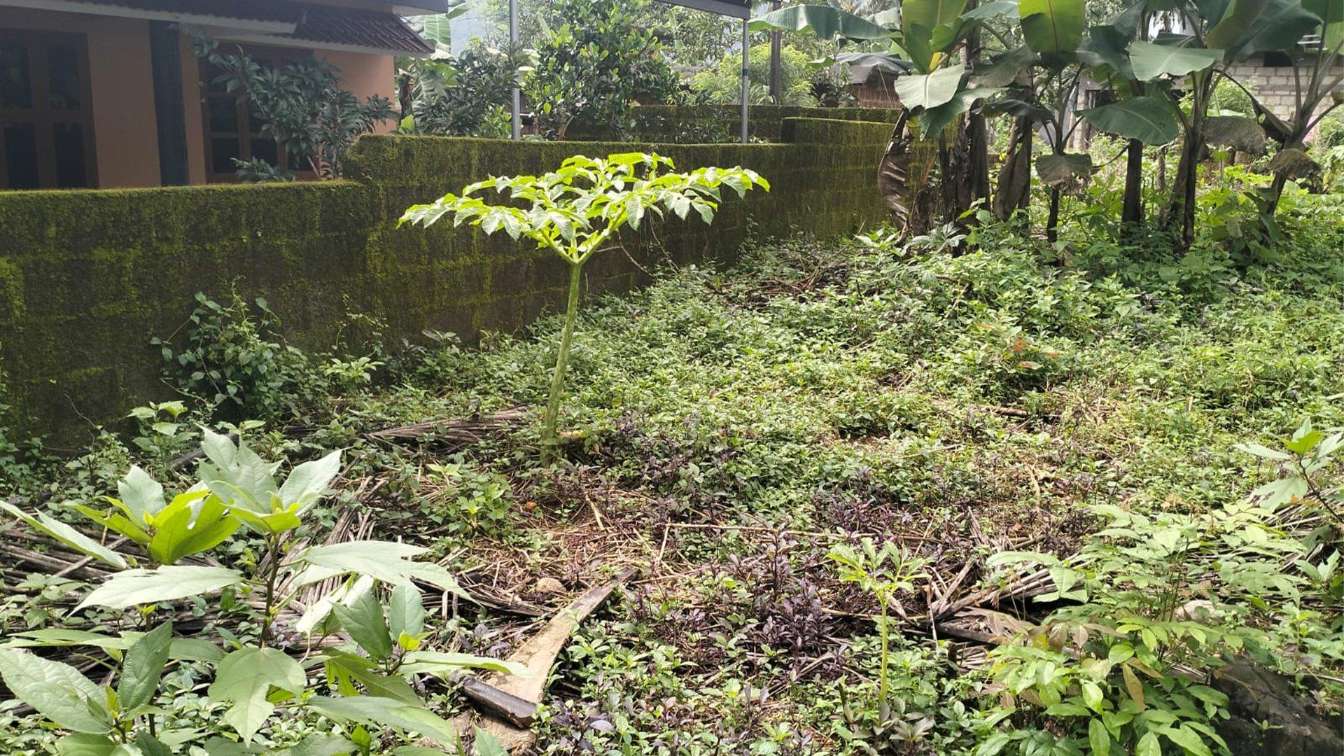 Plot At Pulingome - Image 4