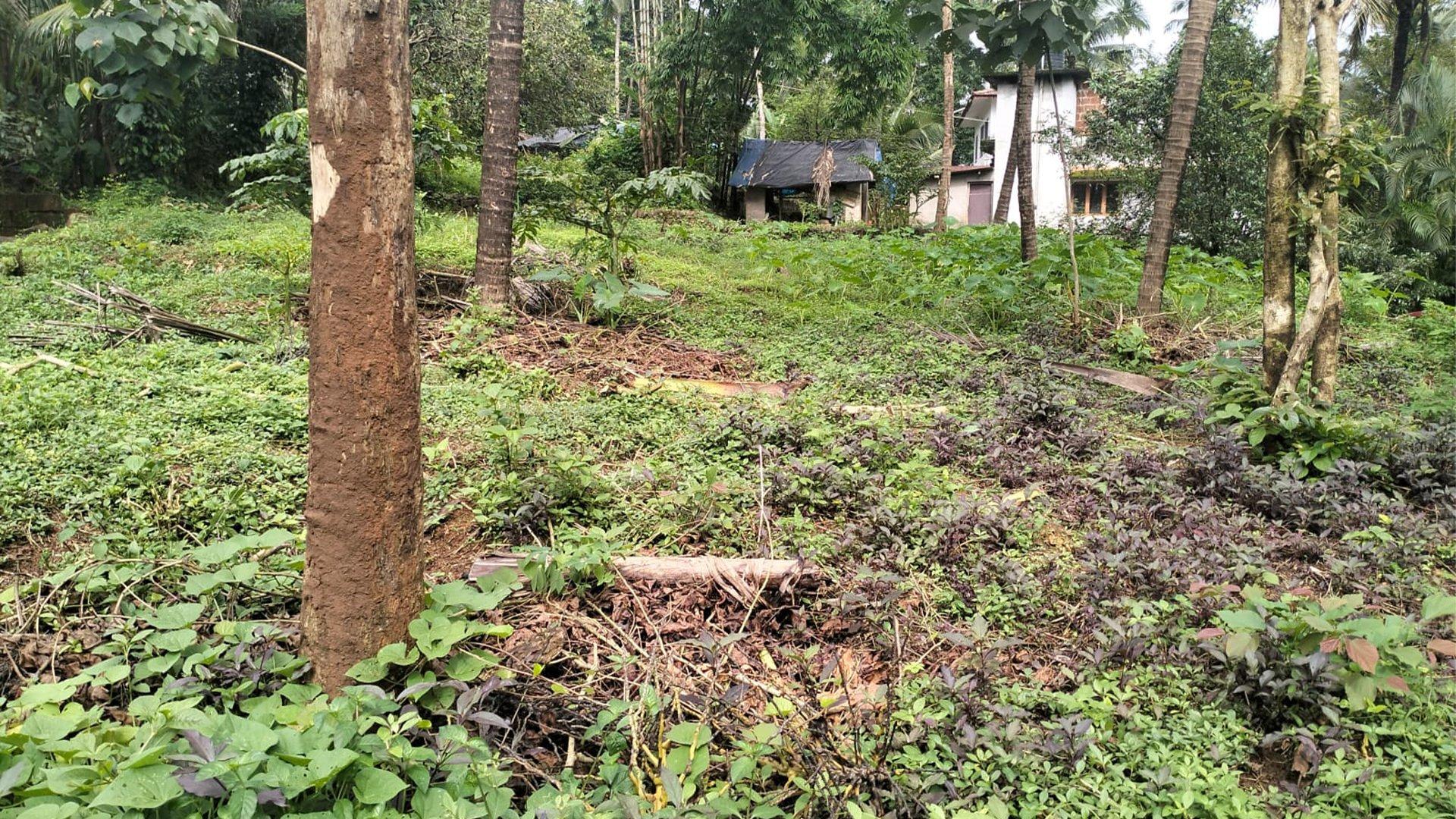 Plot At Pulingome - Image 5