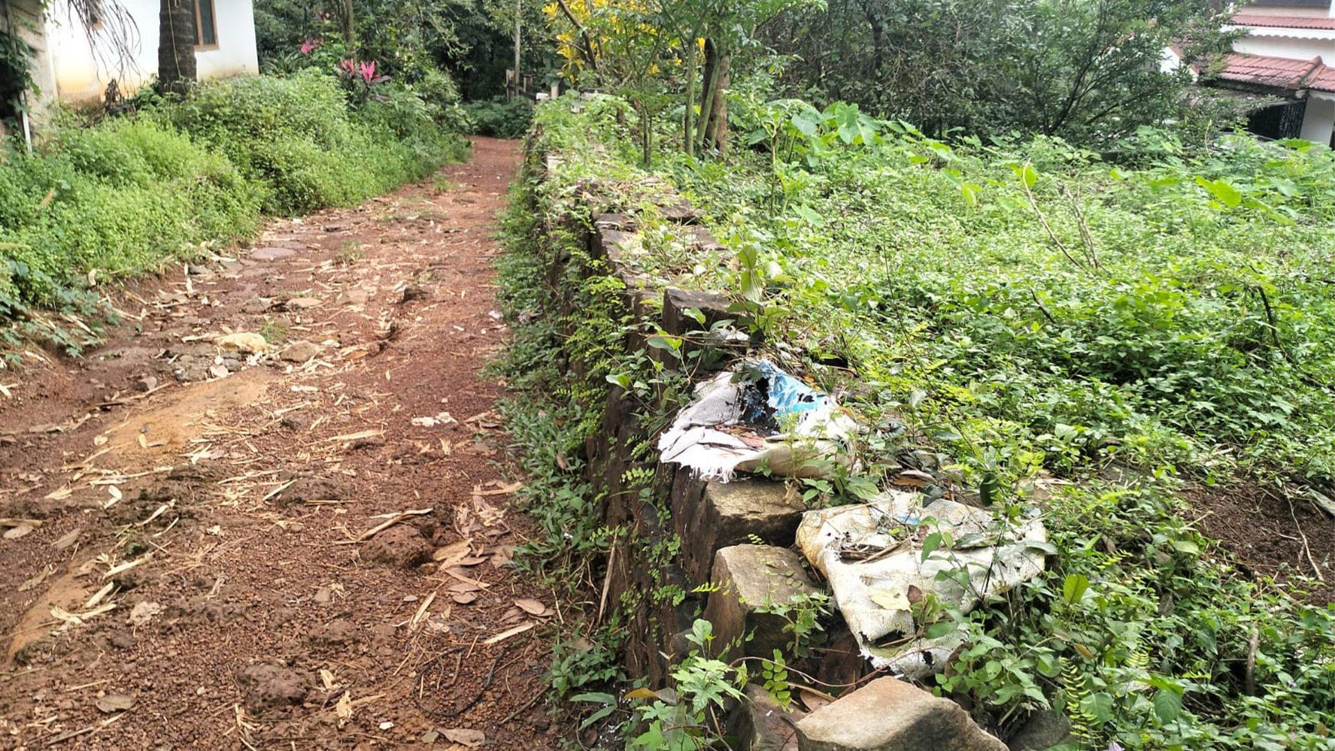 Plot At Pulingome — photo 7