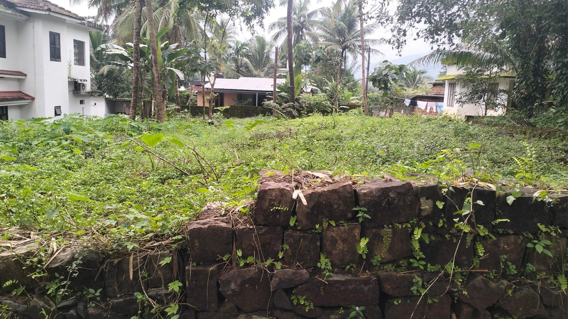 Plot At Pulingome — photo 9