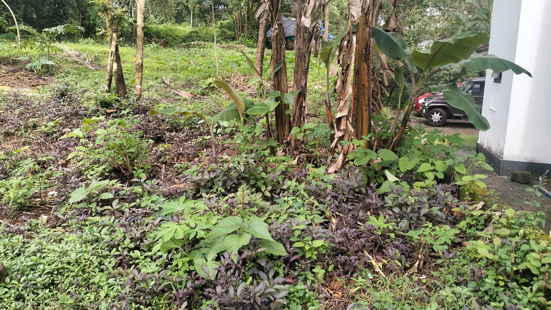 Plot At Pulingome — photo 10