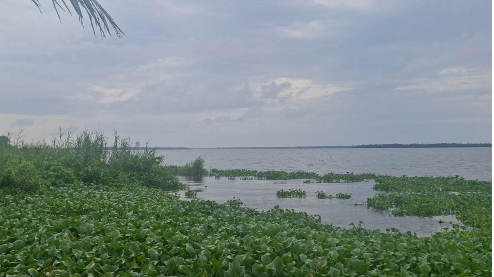 Nivara Shore - Image 4