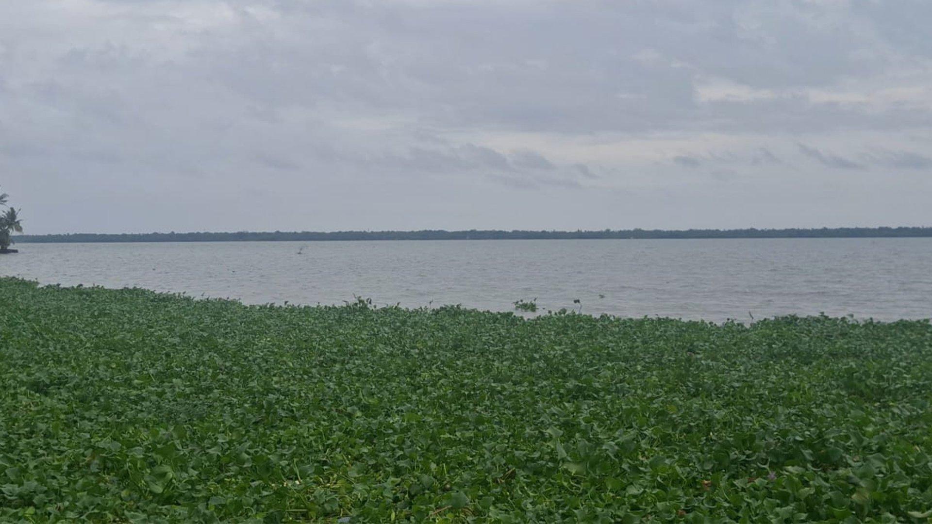 Nivara Shore — photo 7