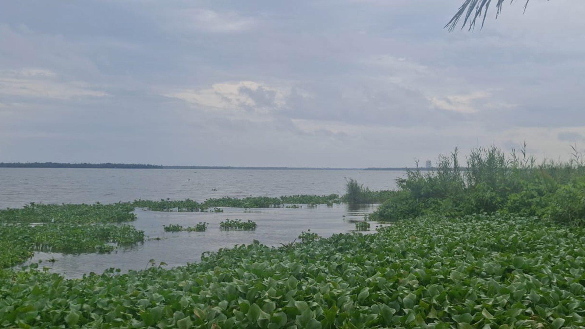 Nivara Shore — photo 10