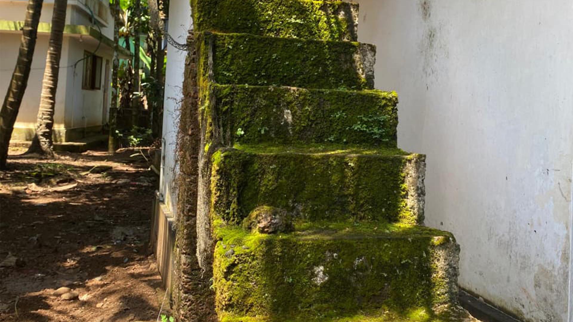 Plot At Dharmadam - Image 3